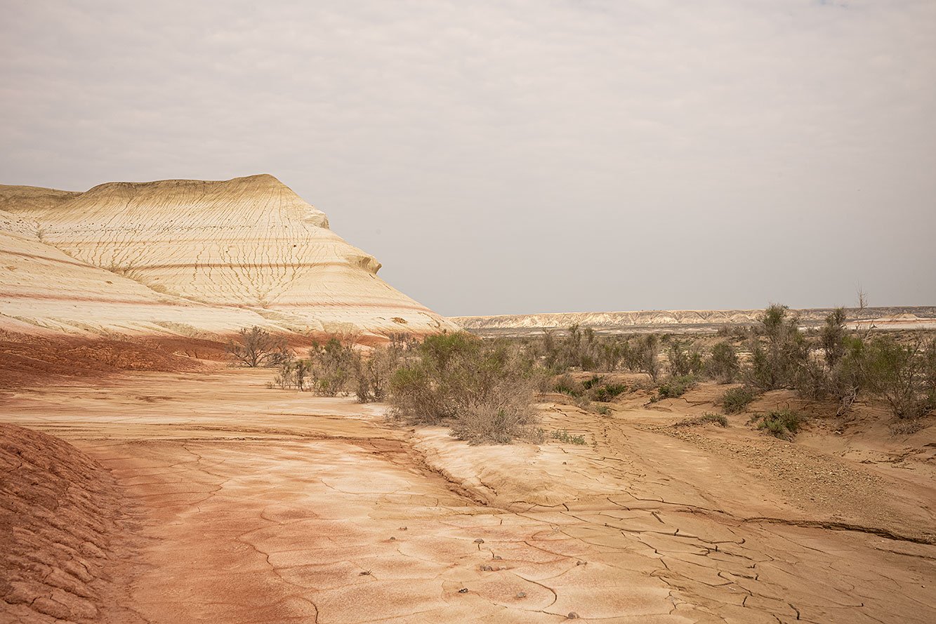 Kyzylkup Tract. Mangystau, Kazakhstan.