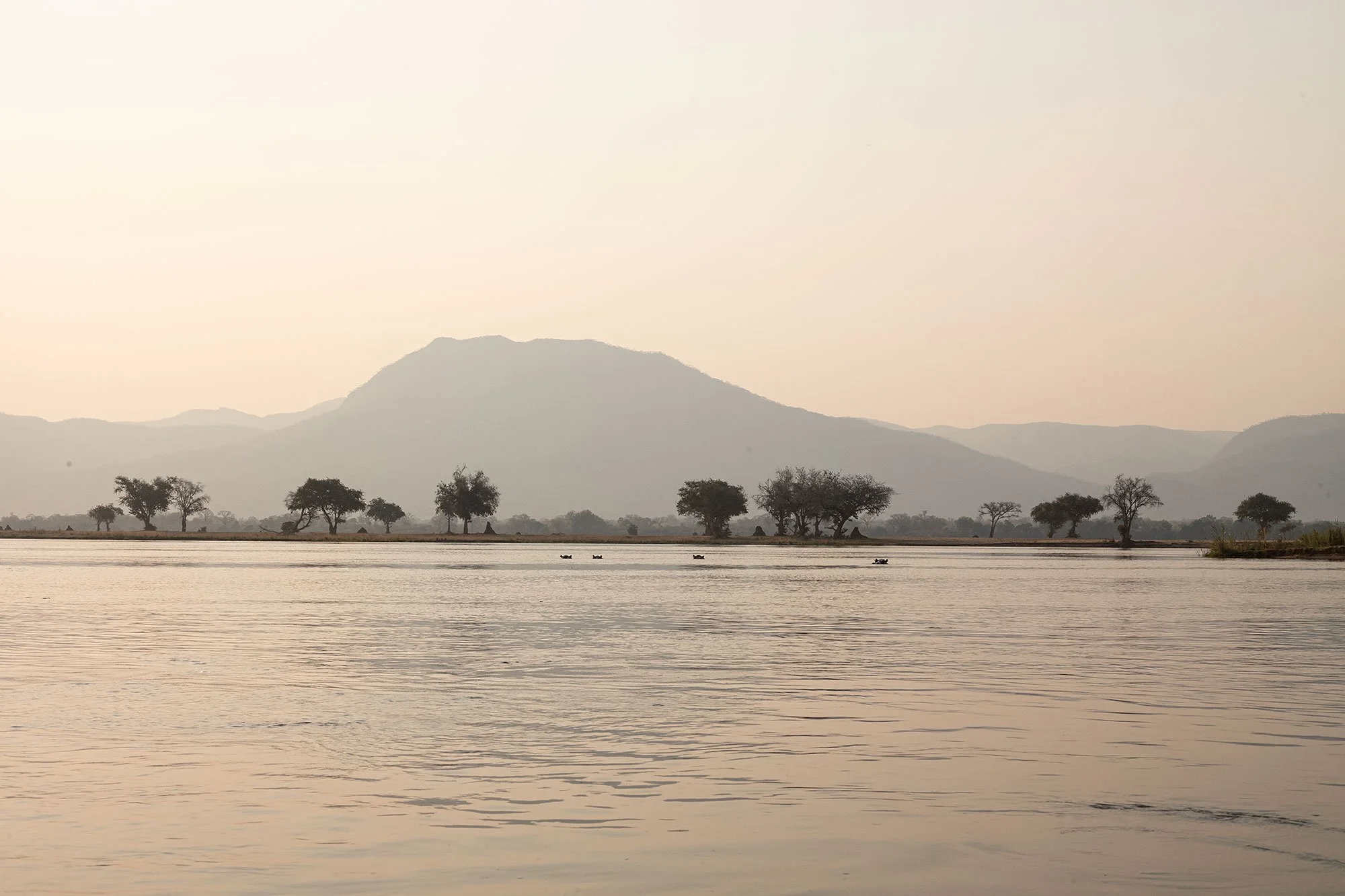 Canoeing on the Zambezi River. Mana Pools, Zimbabwe.