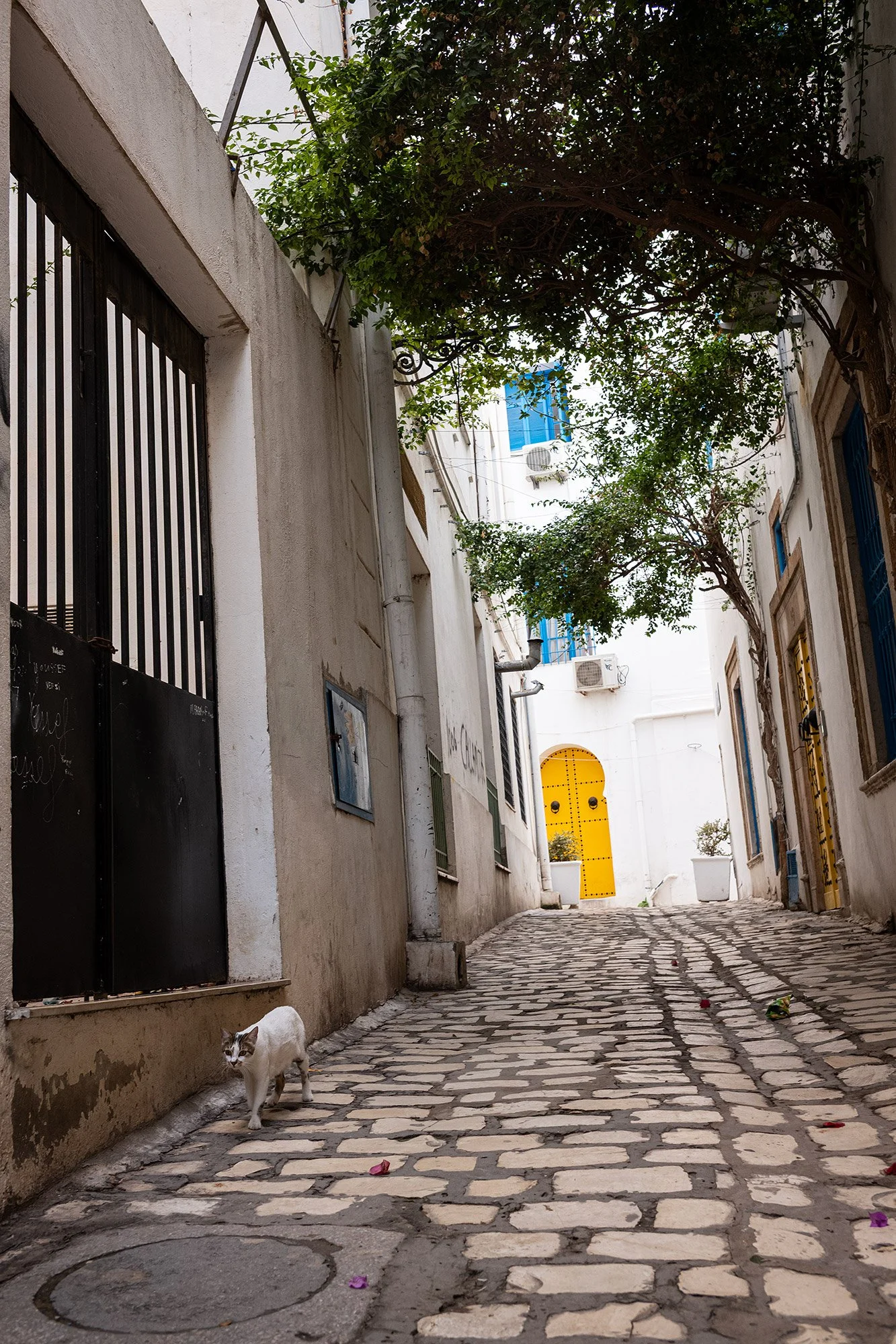 Medina de Tunis, Tunisia.