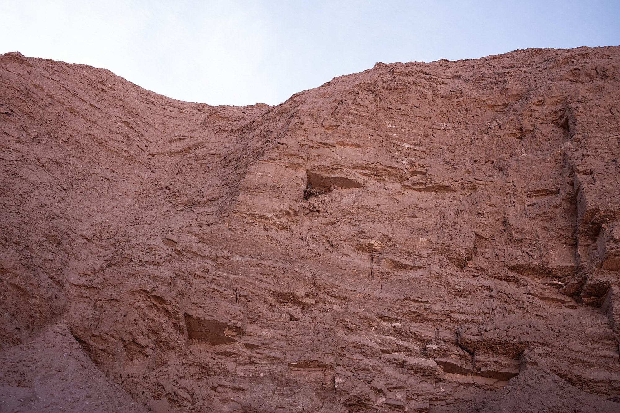 Atacama desert, Chile.