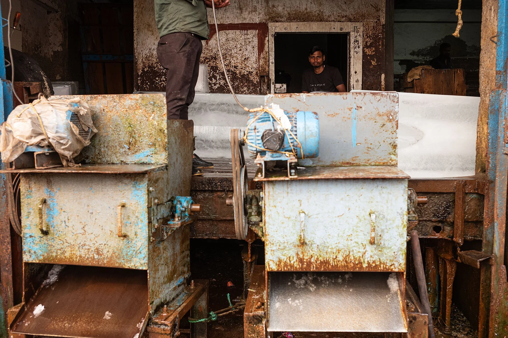 Sassoon Dock fish market. Mumbai, India.