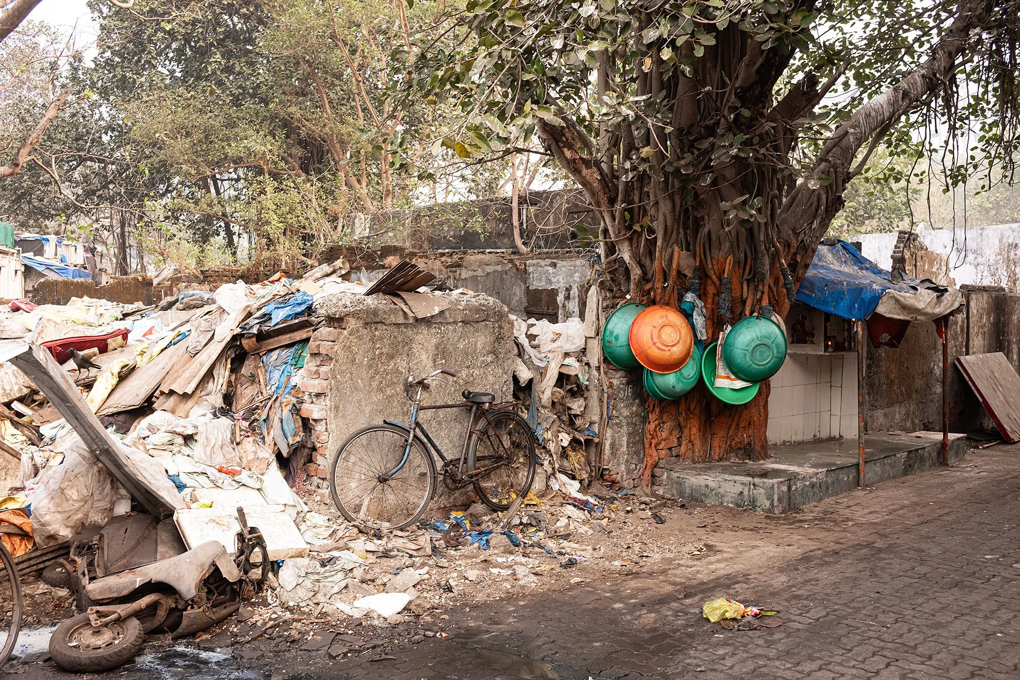 Sassoon dock. Mumbai, India.