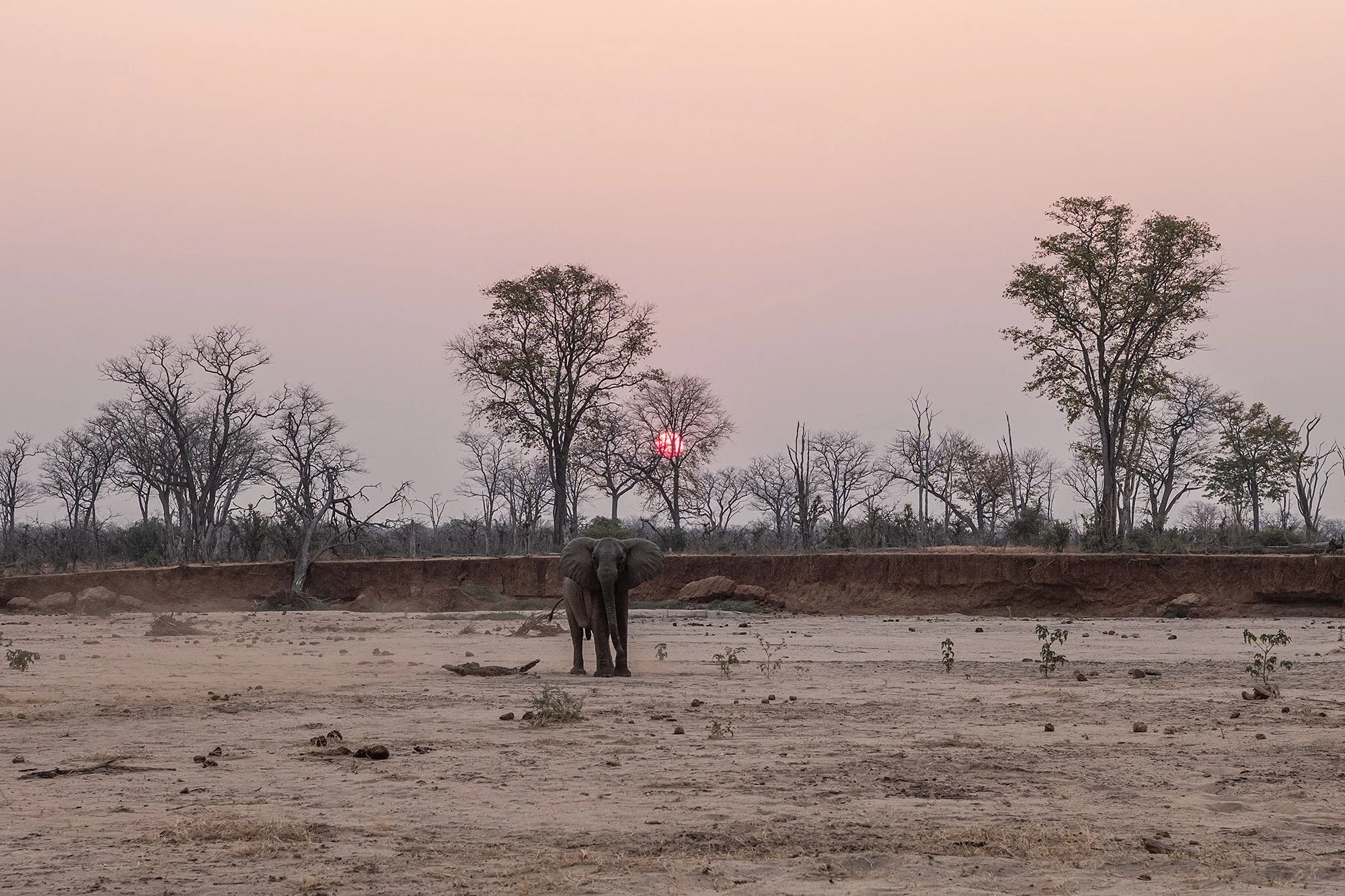 Sunset. Mana Pools, Zimbabwe.