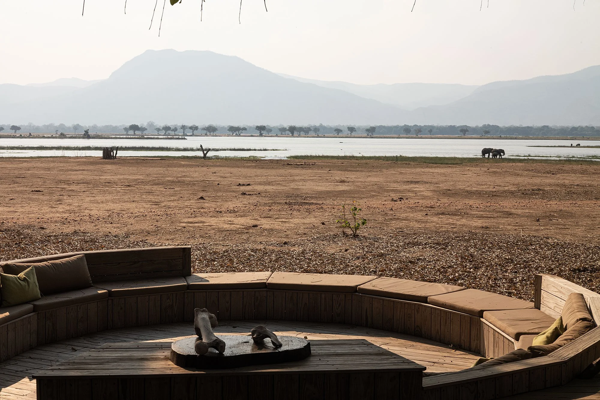 Elephants at Nyamatusi Camp. Mana Pools, Zimbabwe.