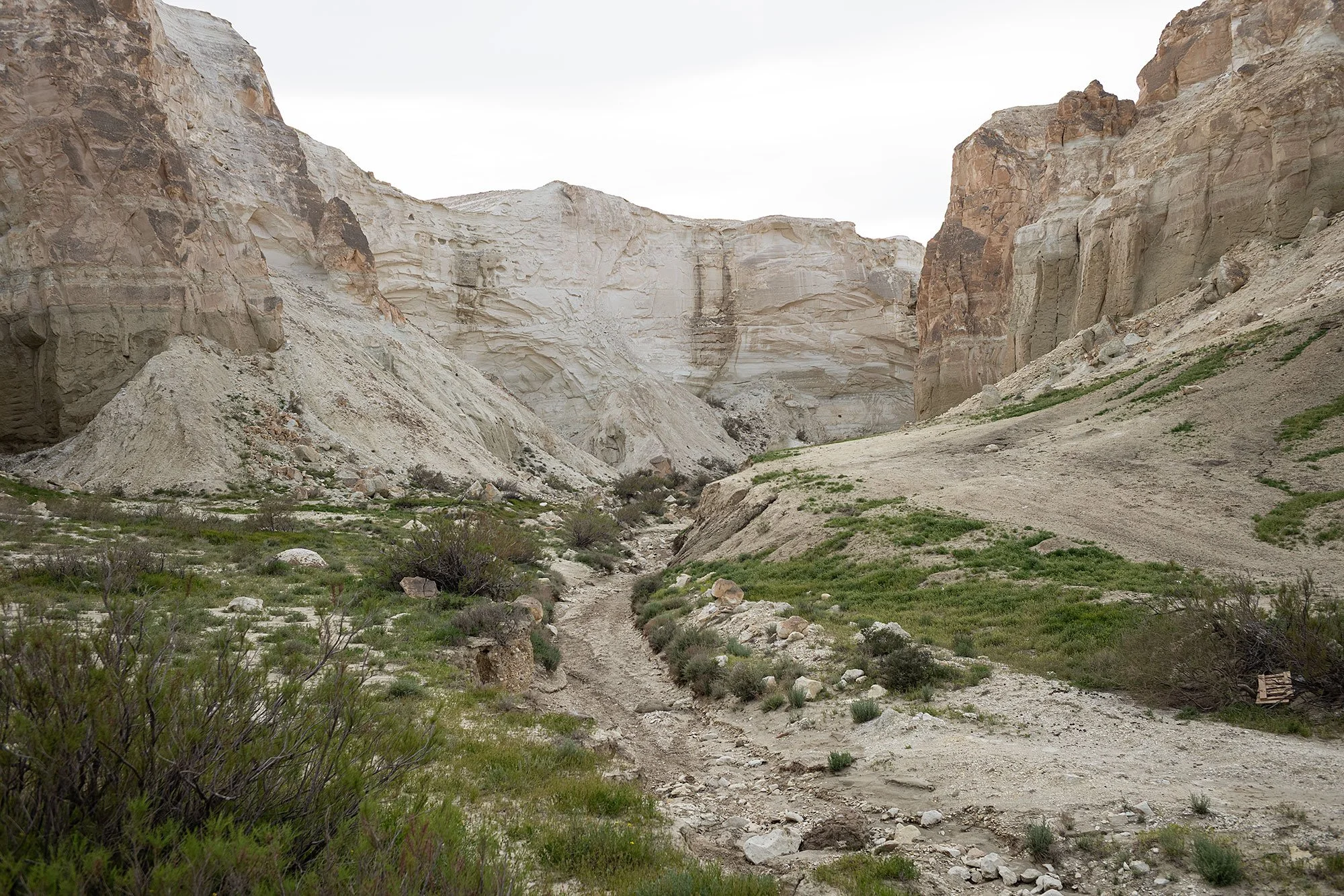 Ustyurt Plateau in the Mangystau Region of western Kazakhstan