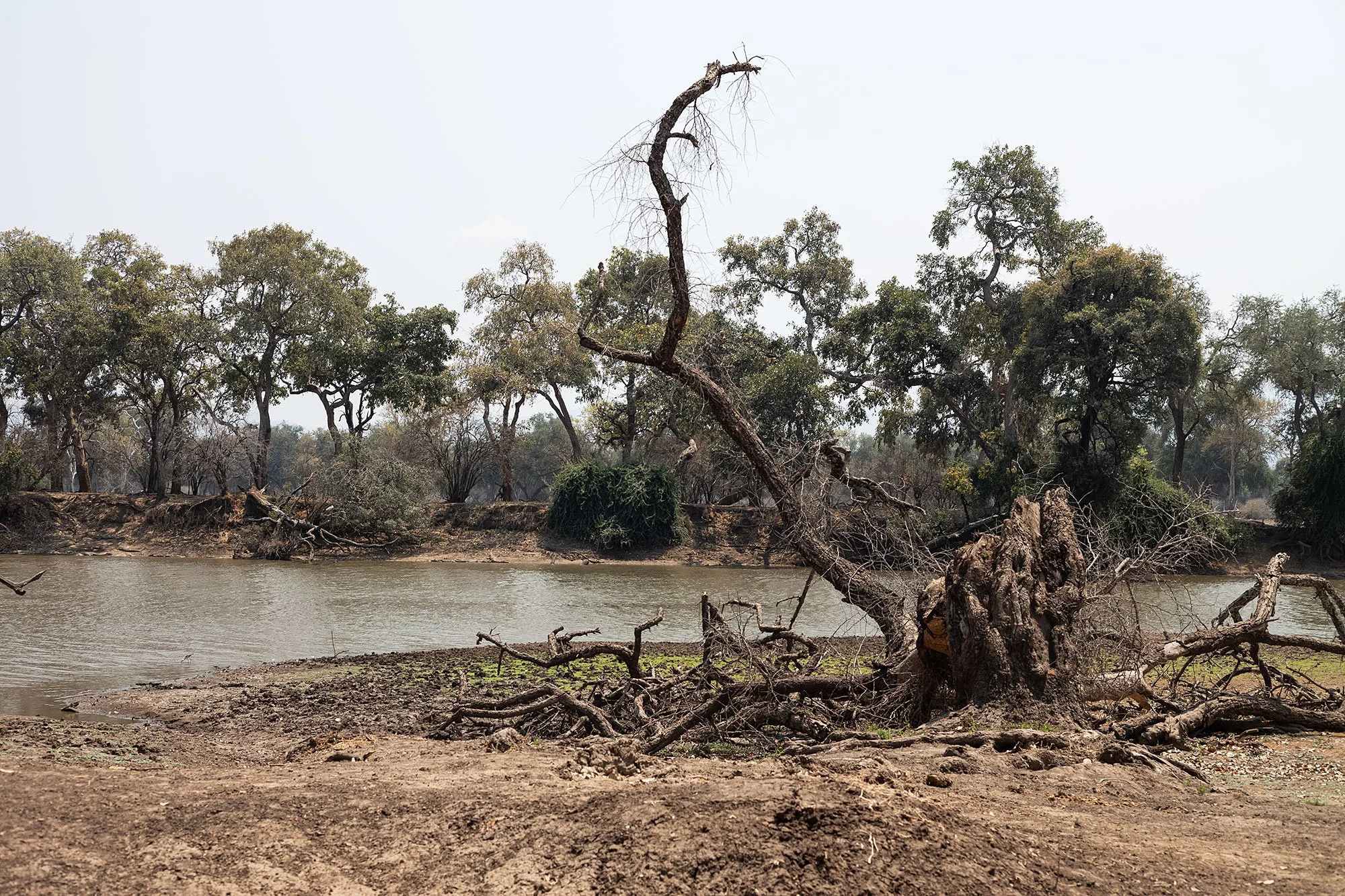 Mana Pools, Zimbabwe.