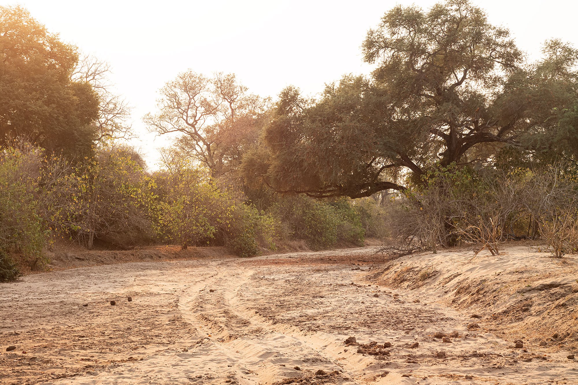 Mana Pools, Zimbabwe.