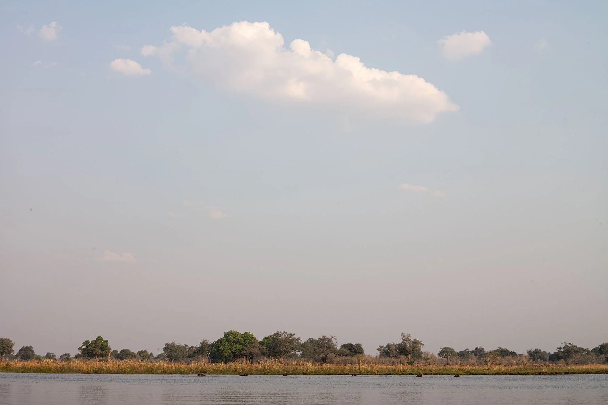 Canoeing on the Zambezi River. Mana Pools, Zimbabwe.