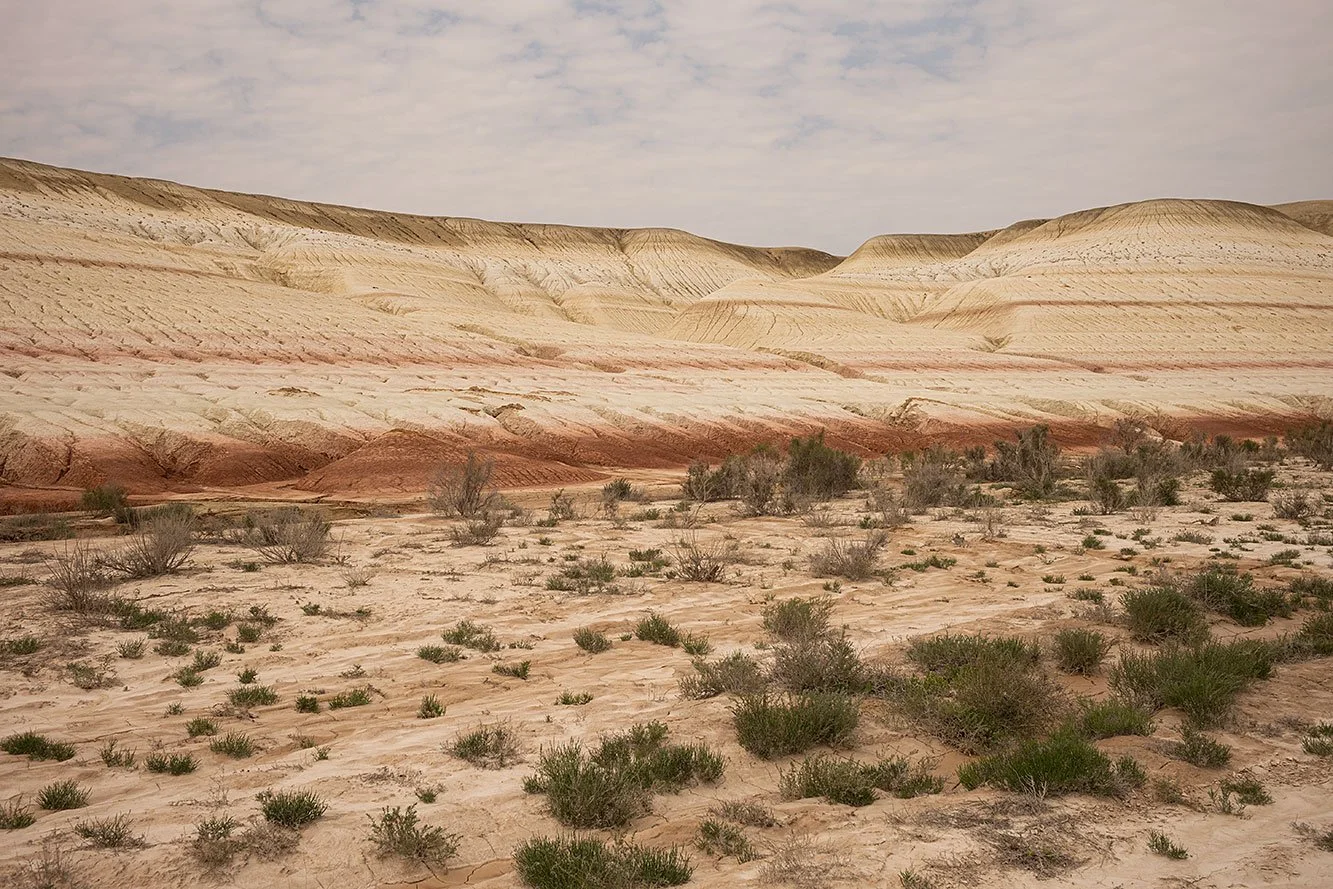 Kyzylkup Tract. Mangystau, Kazakhstan.