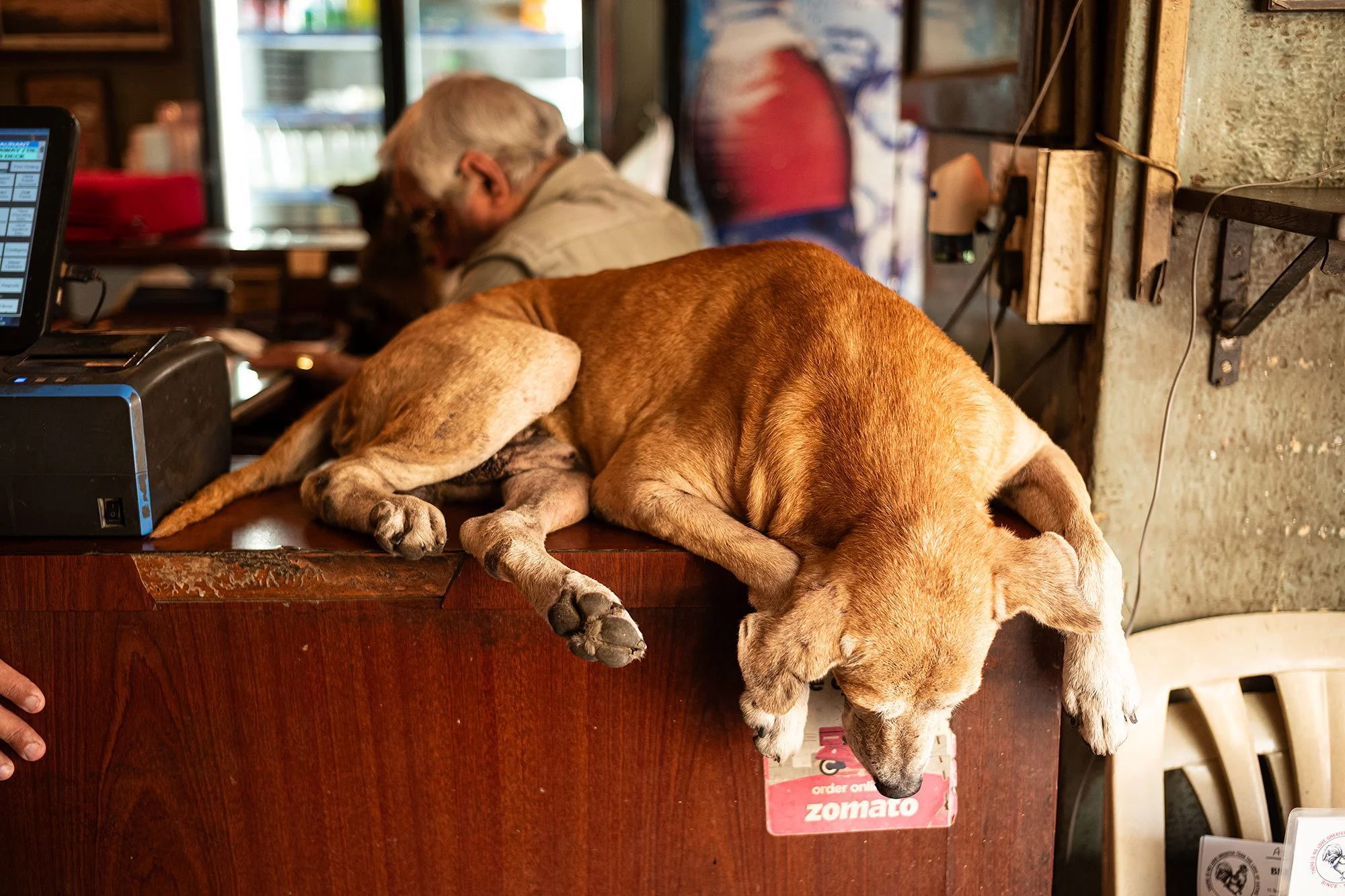Britannia & Co. Exotic Parsi and Iranian cuisine. Mumbai, India.