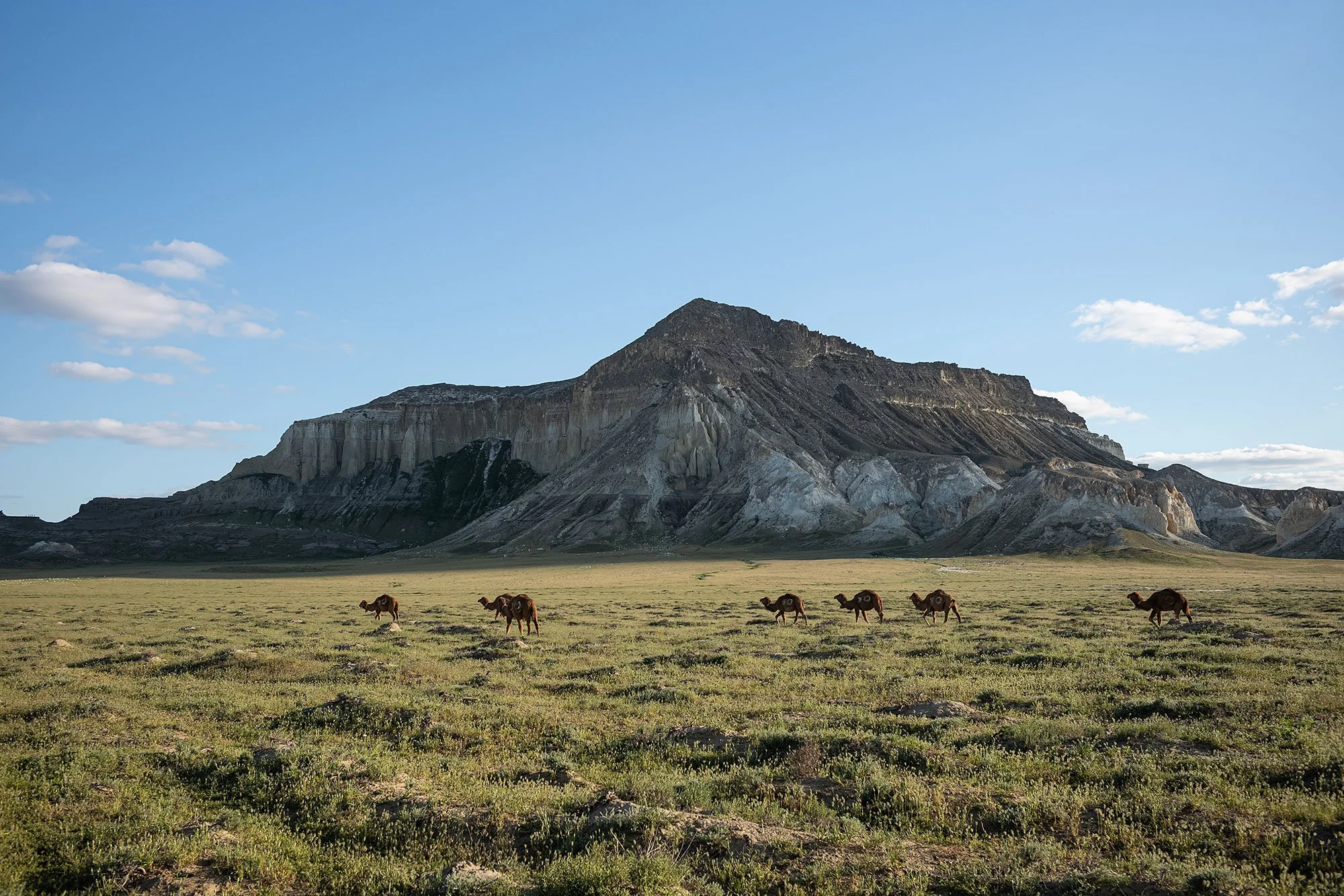 Airakty-Shomanai Mountains. Mangystau, Kazakhstan.