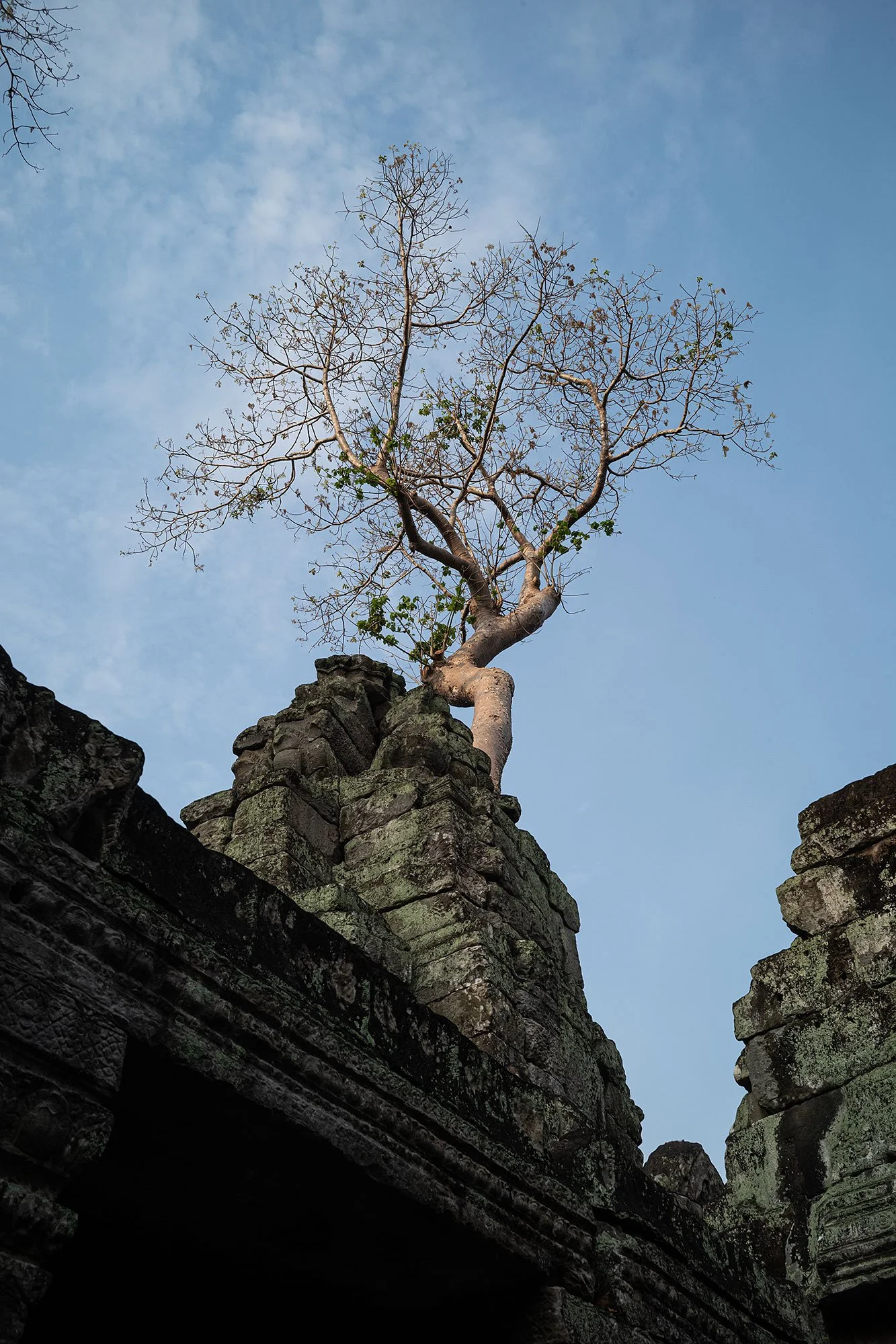 Preah Khan, Angkor, Cambodia.