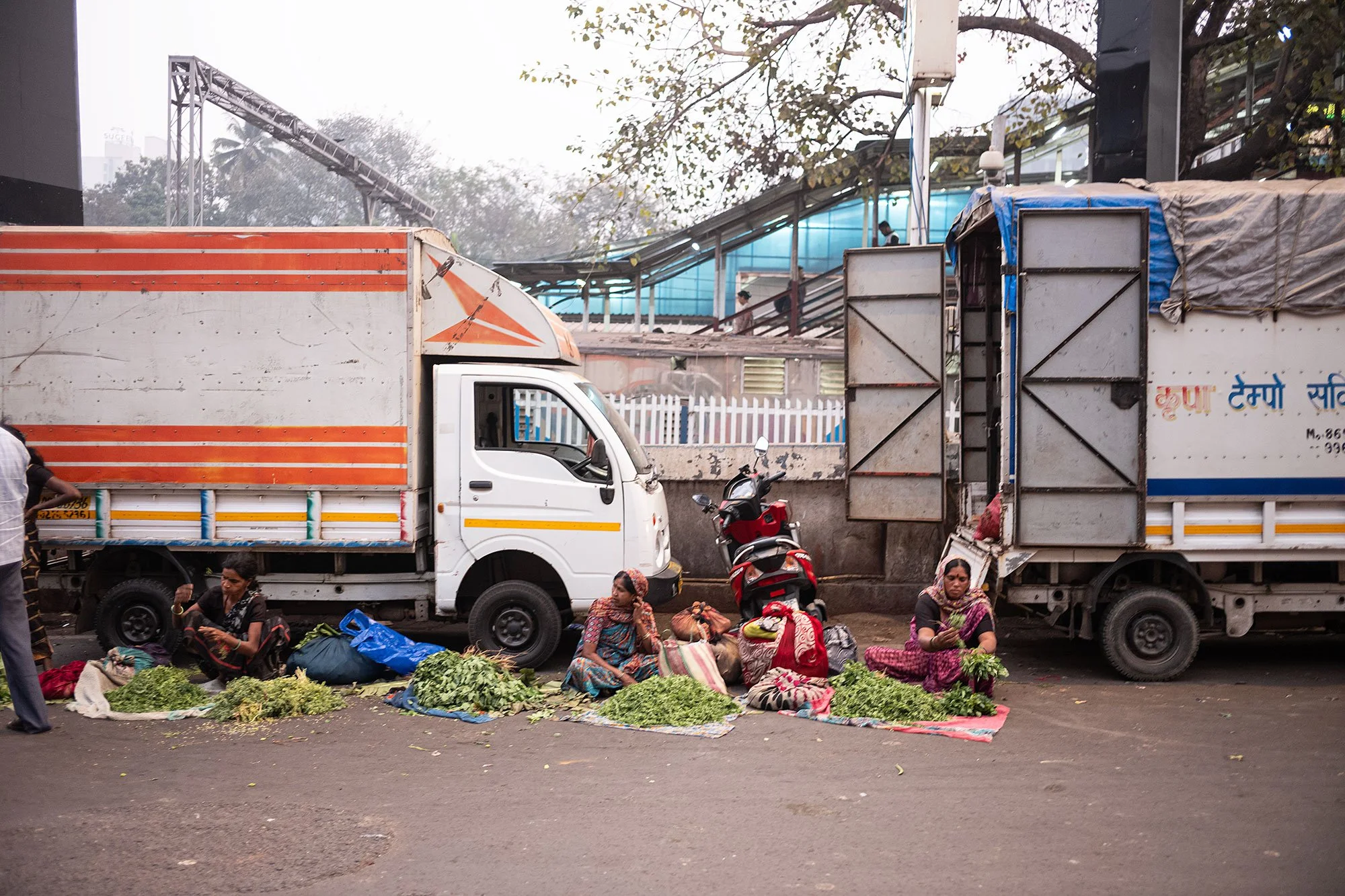 Bandar vegetable market Mumbai, India.