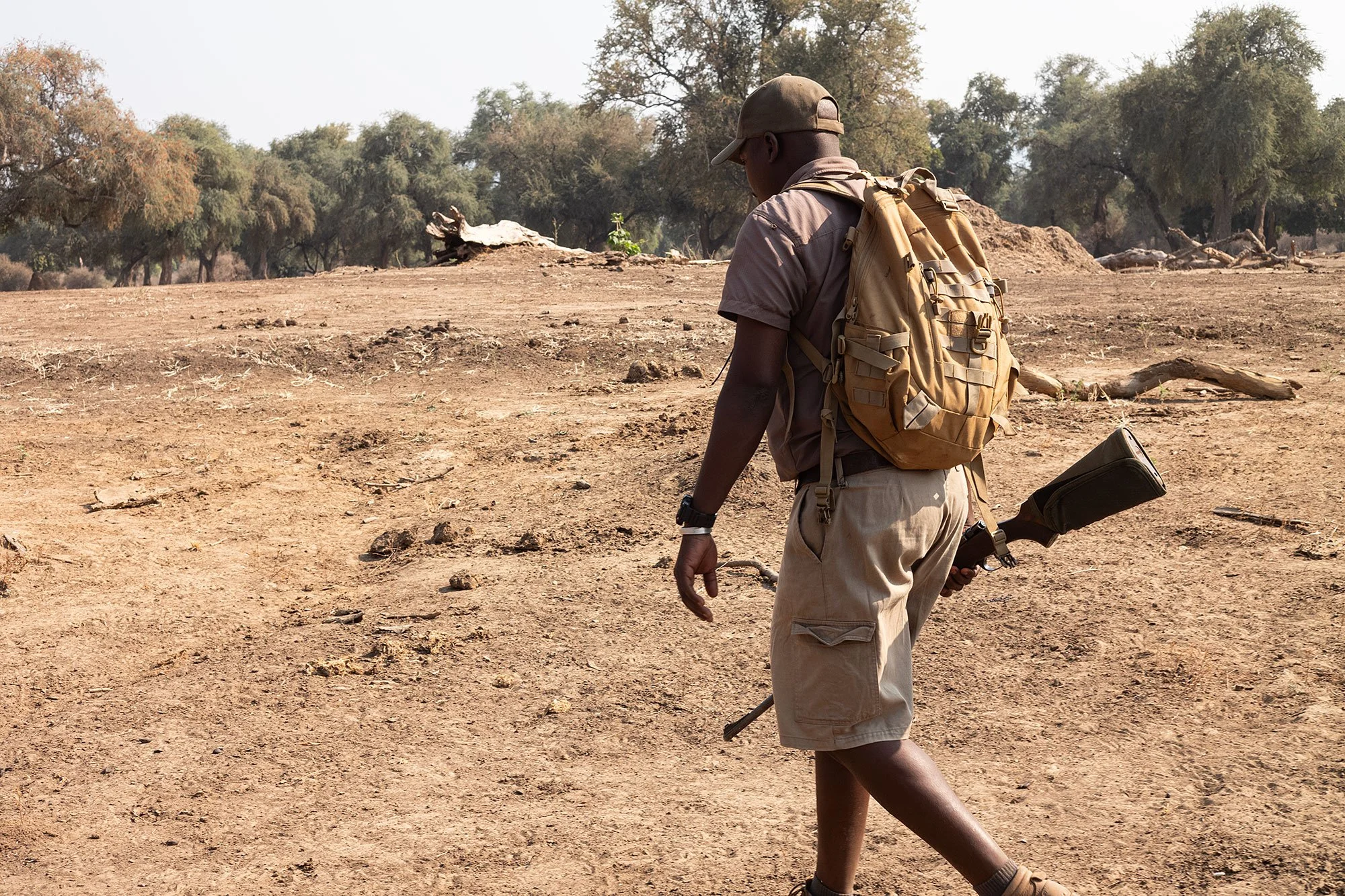 Walking safari. Mana Pools, Zimbabwe.