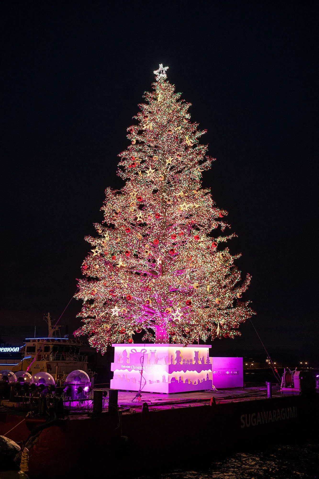 Christmas tree. Hakodate, Japan