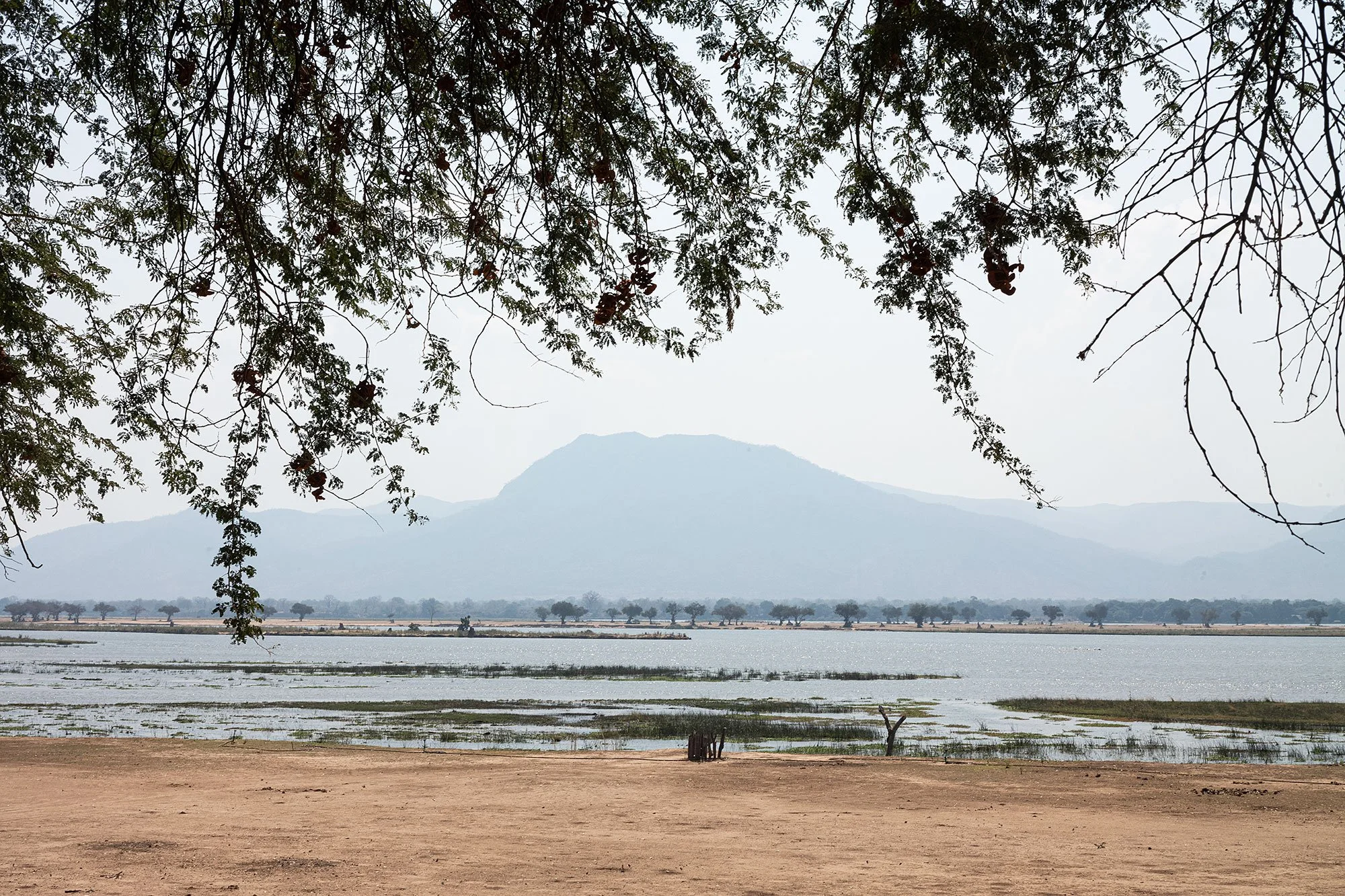 The Zambezi River. Mana Pools, Zimbabwe.