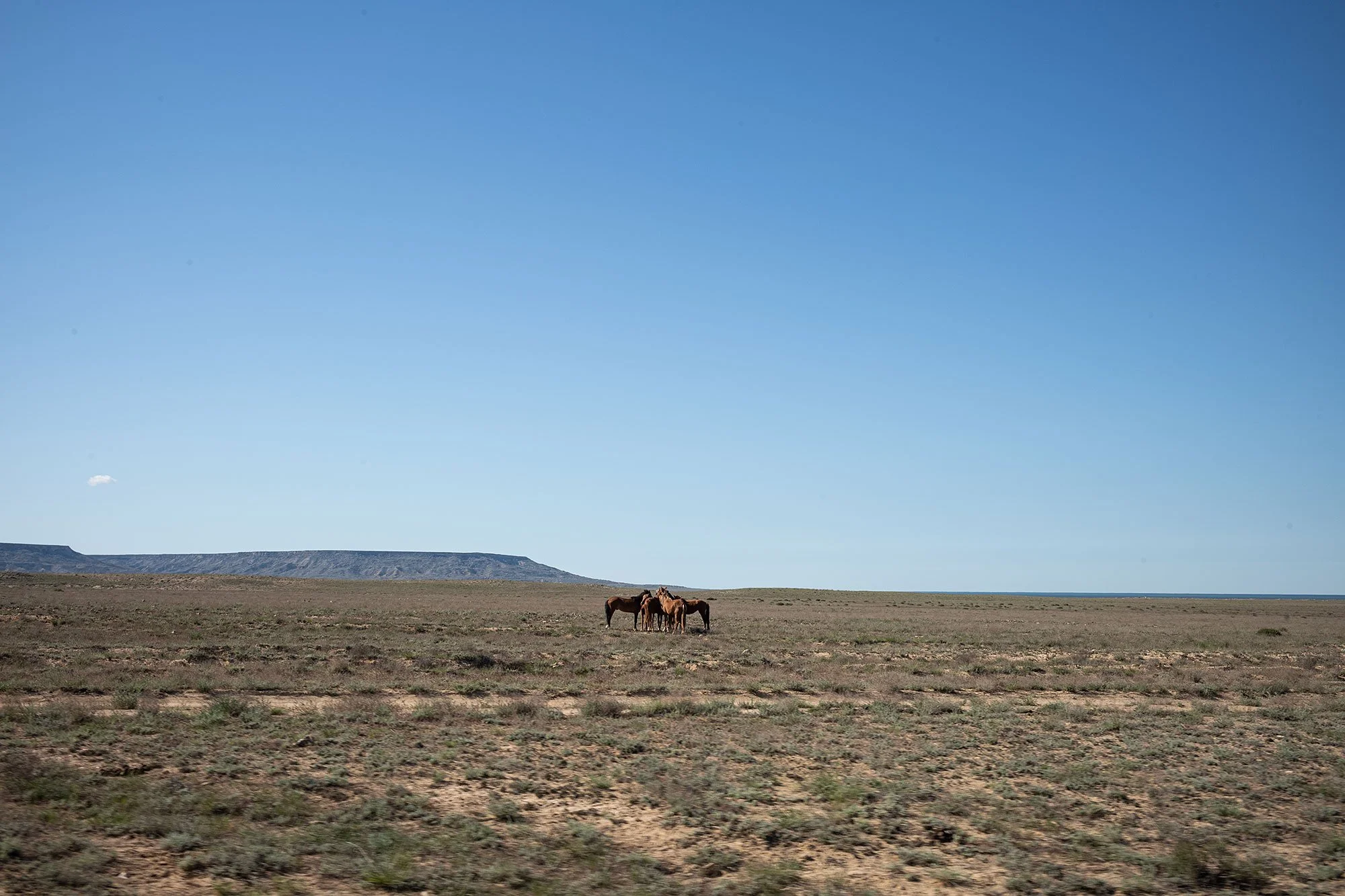 Mangystau, Kazakhstan.