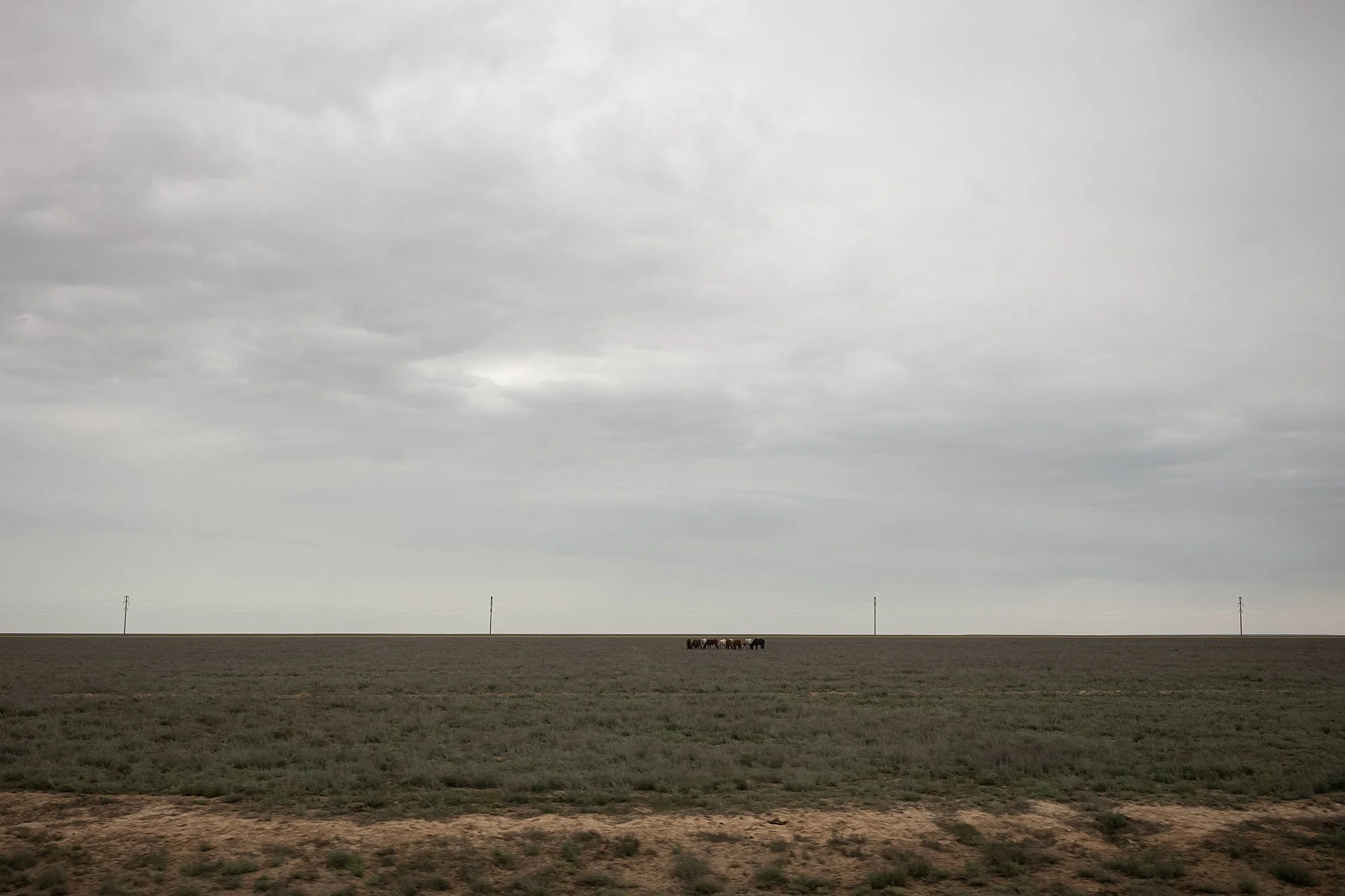 Road trip. Mangystau, Kazakhstan.