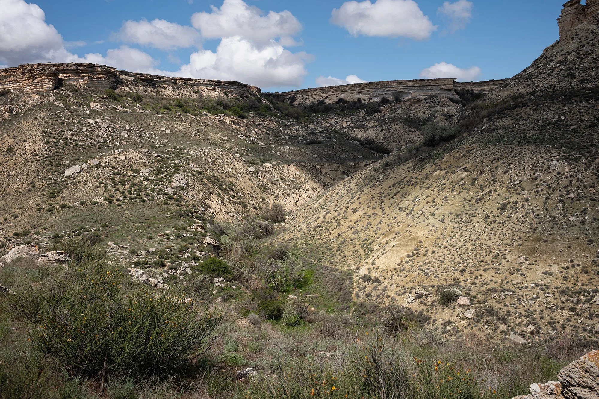 Sultan Epe canyon. Manygstau, Kazakhstan.