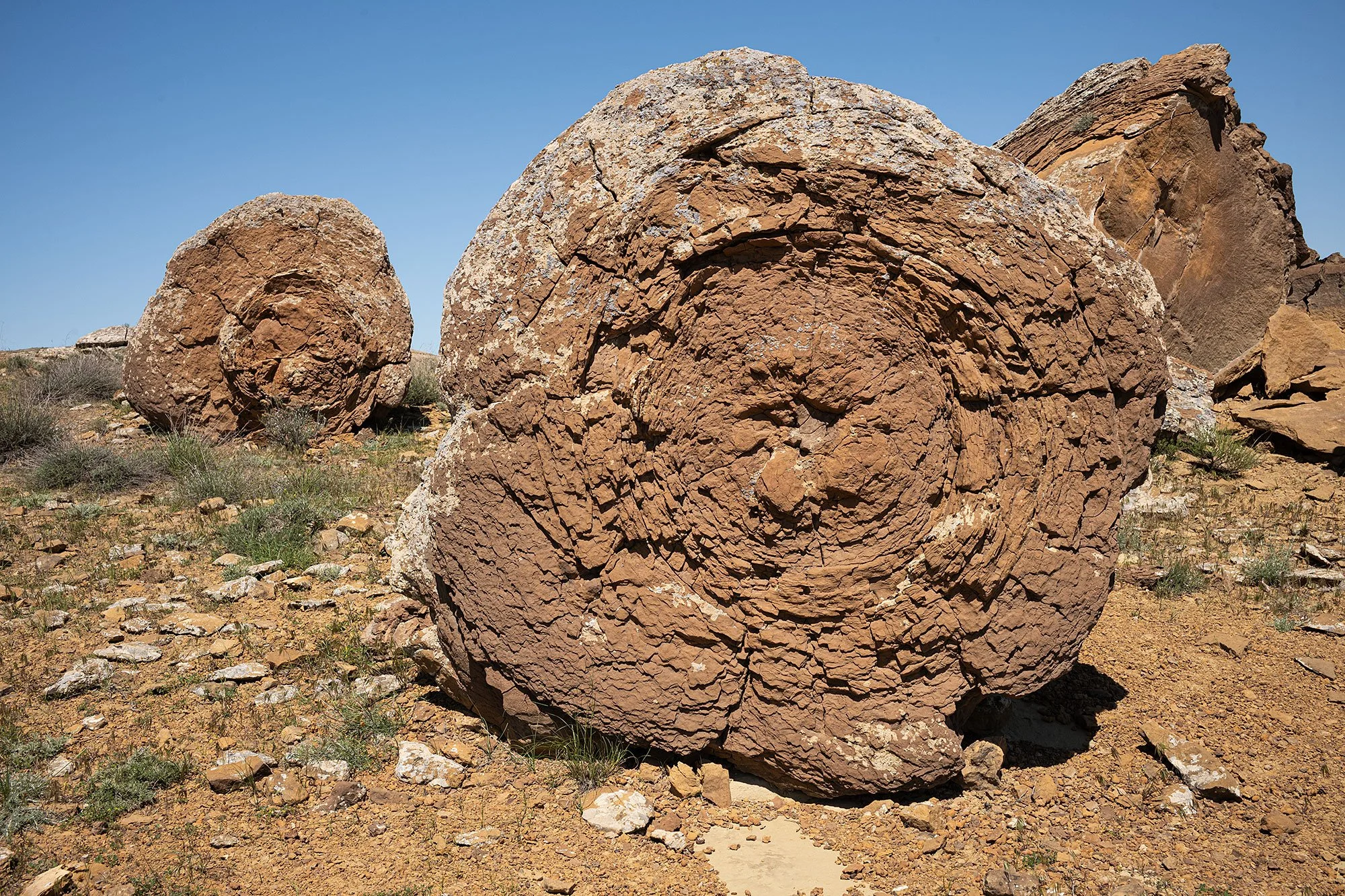 Torysh. Valley of the Balls. Mangystau, Kazakhstan.