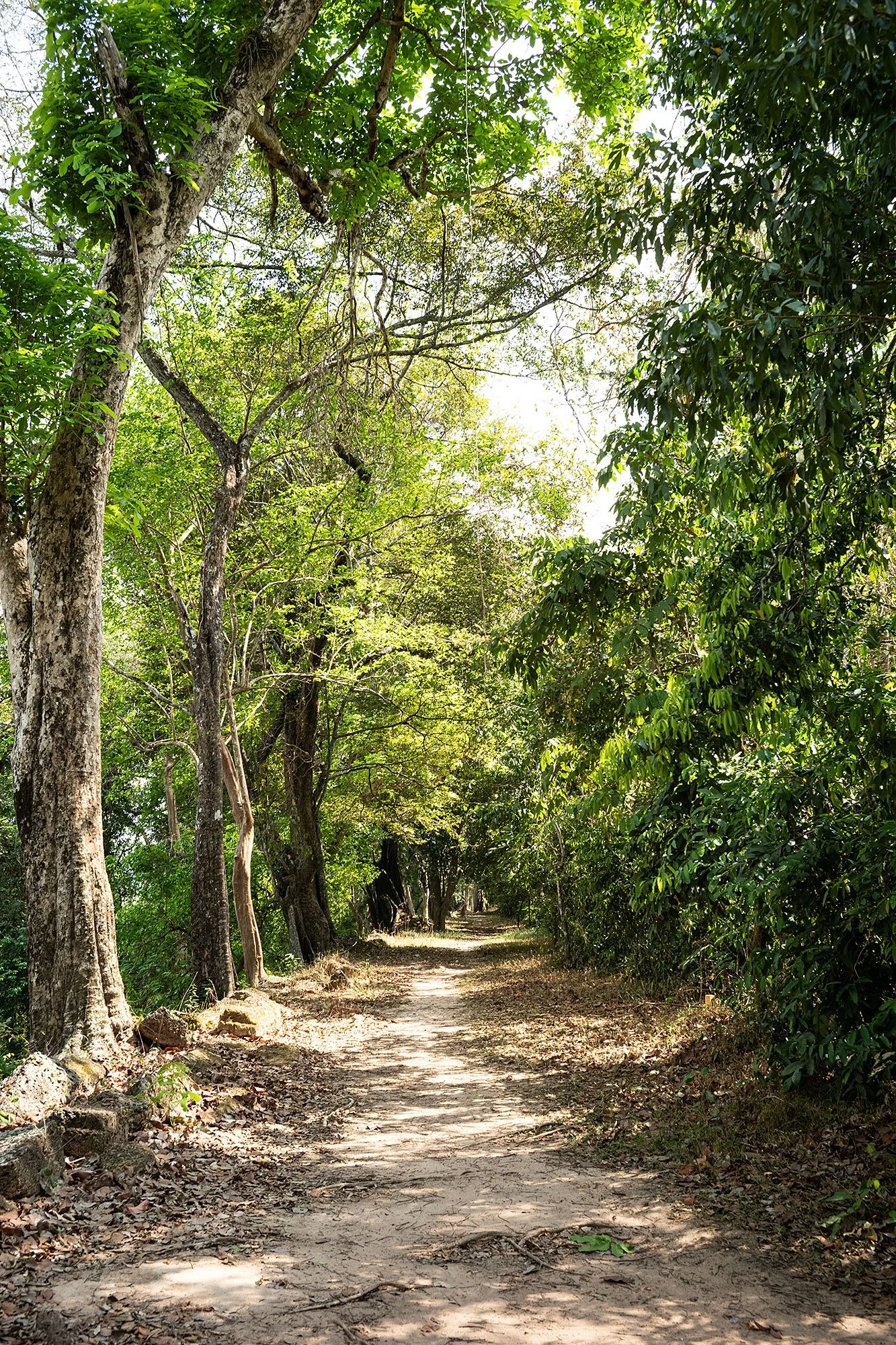 Victory Gate. Angkor Thom, Cambodia.