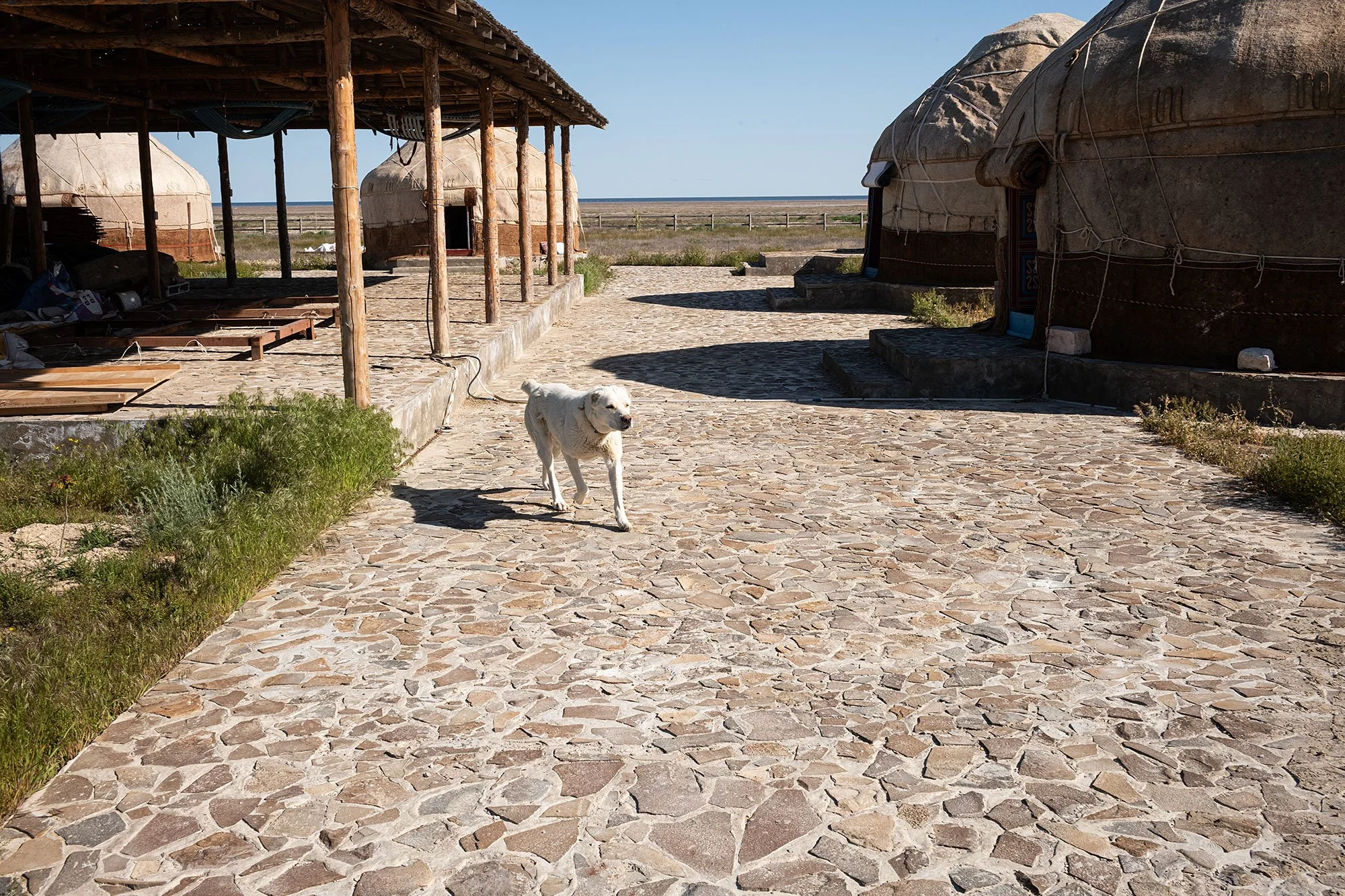 Sartas camp. Ashchimuryn, Kazakhstan