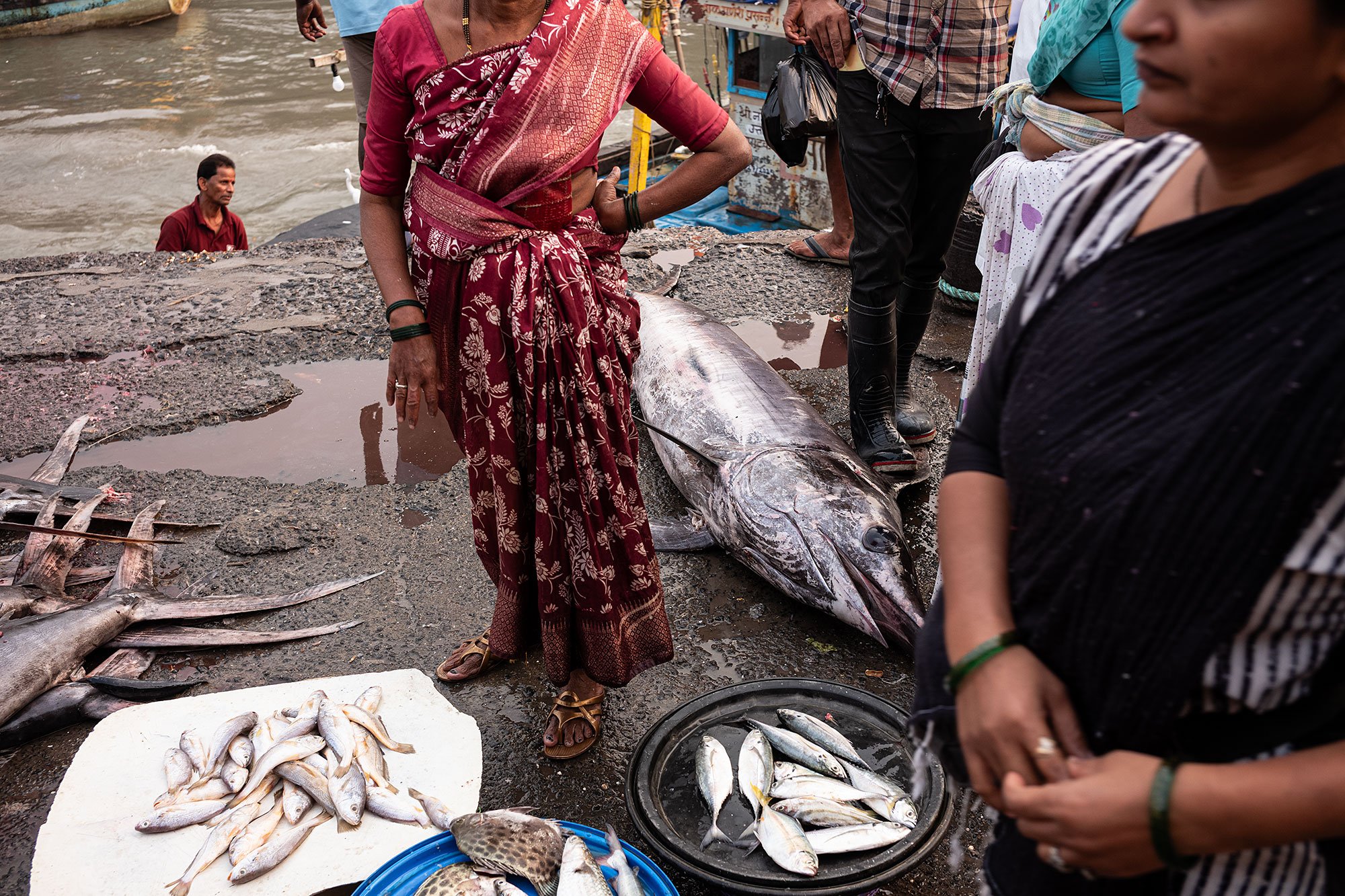 Sassoon Dock jetty fish market. Mumbai, India.