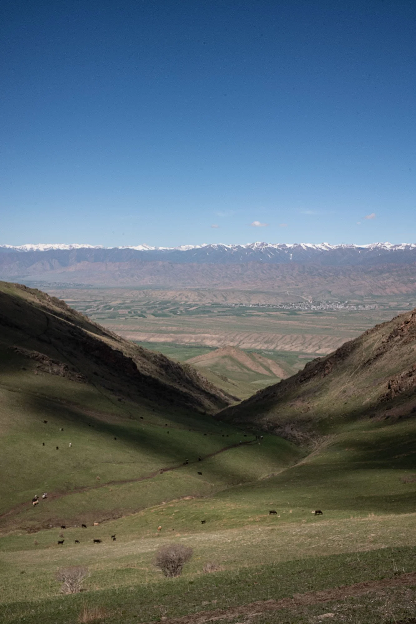 The Song Kul Kyrgyzstan horse trek day 3