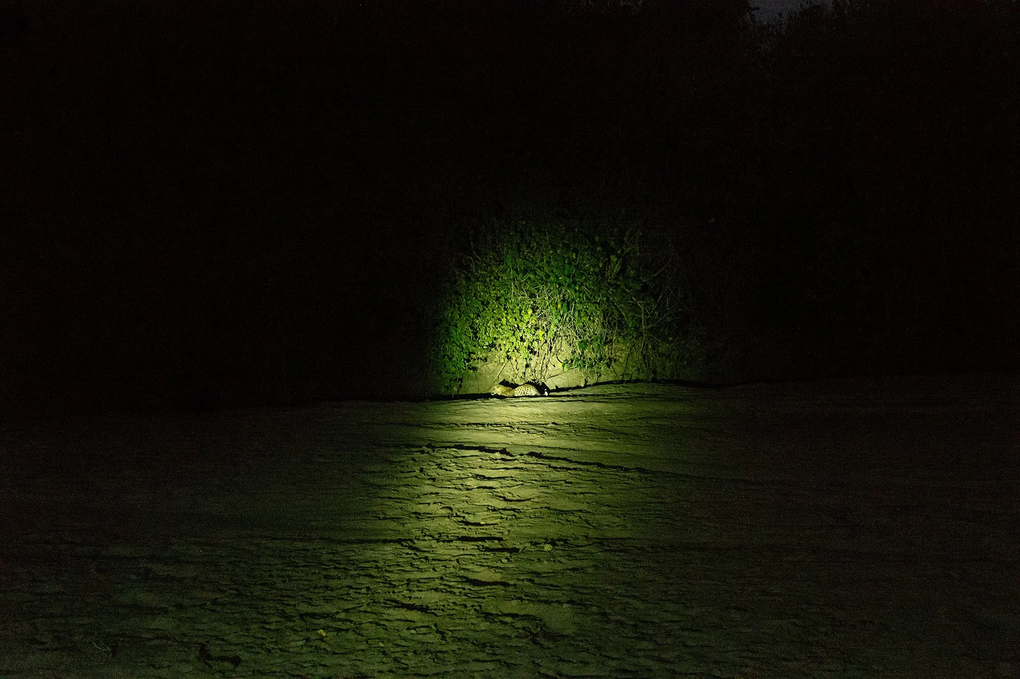 Mana Pools, Zimbabwe.