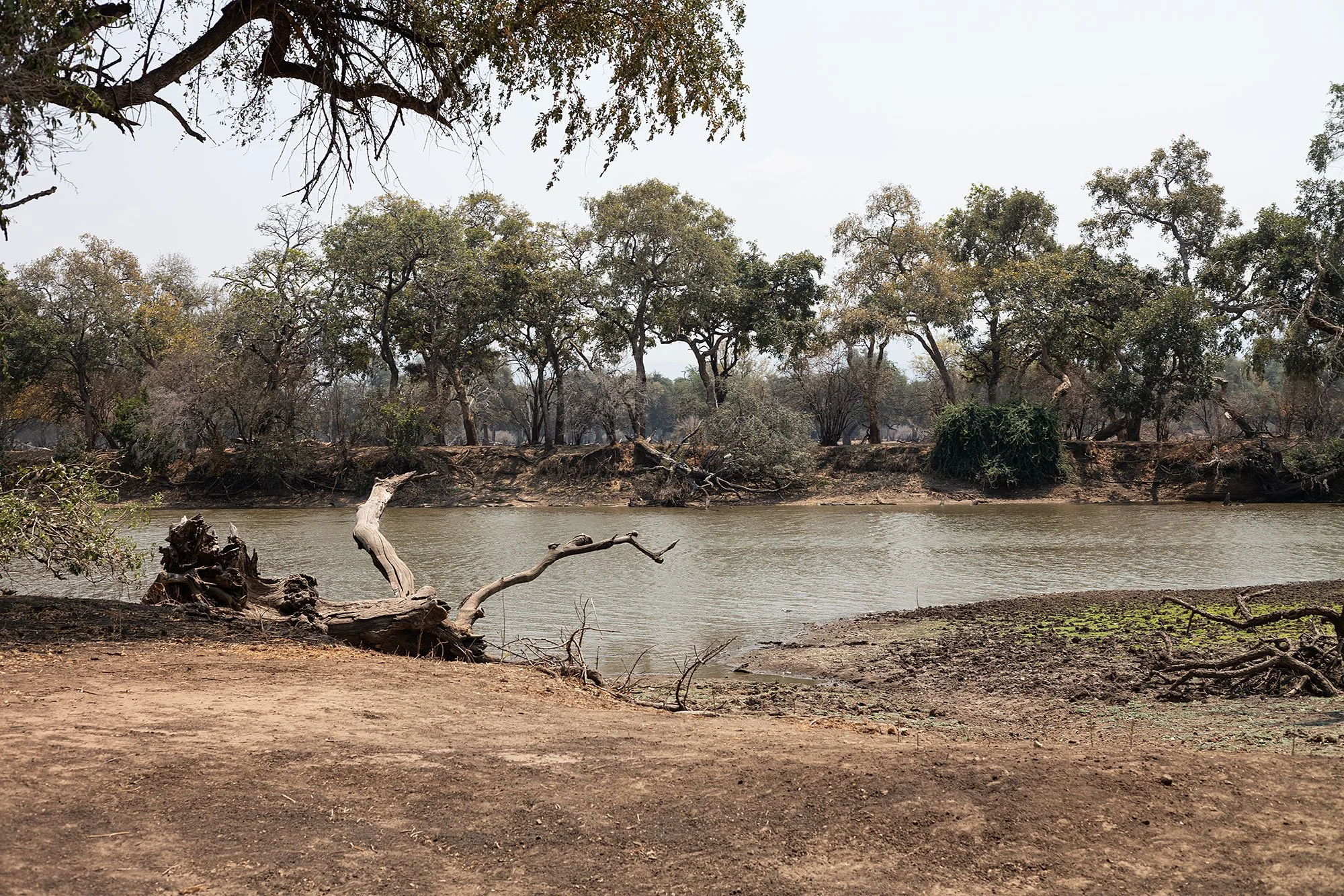 Mana Pools, Zimbabwe.