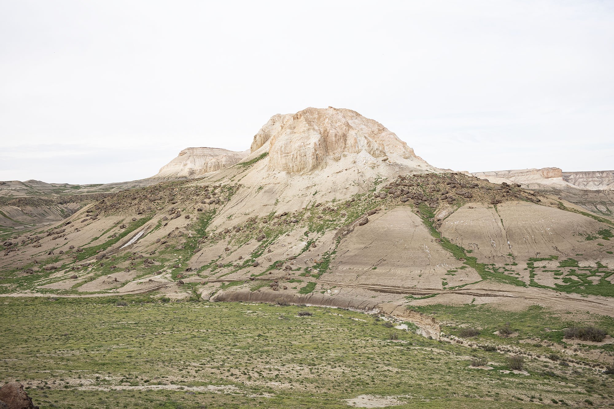 Ustyurt Plateau in the Mangystau Region of western Kazakhstan