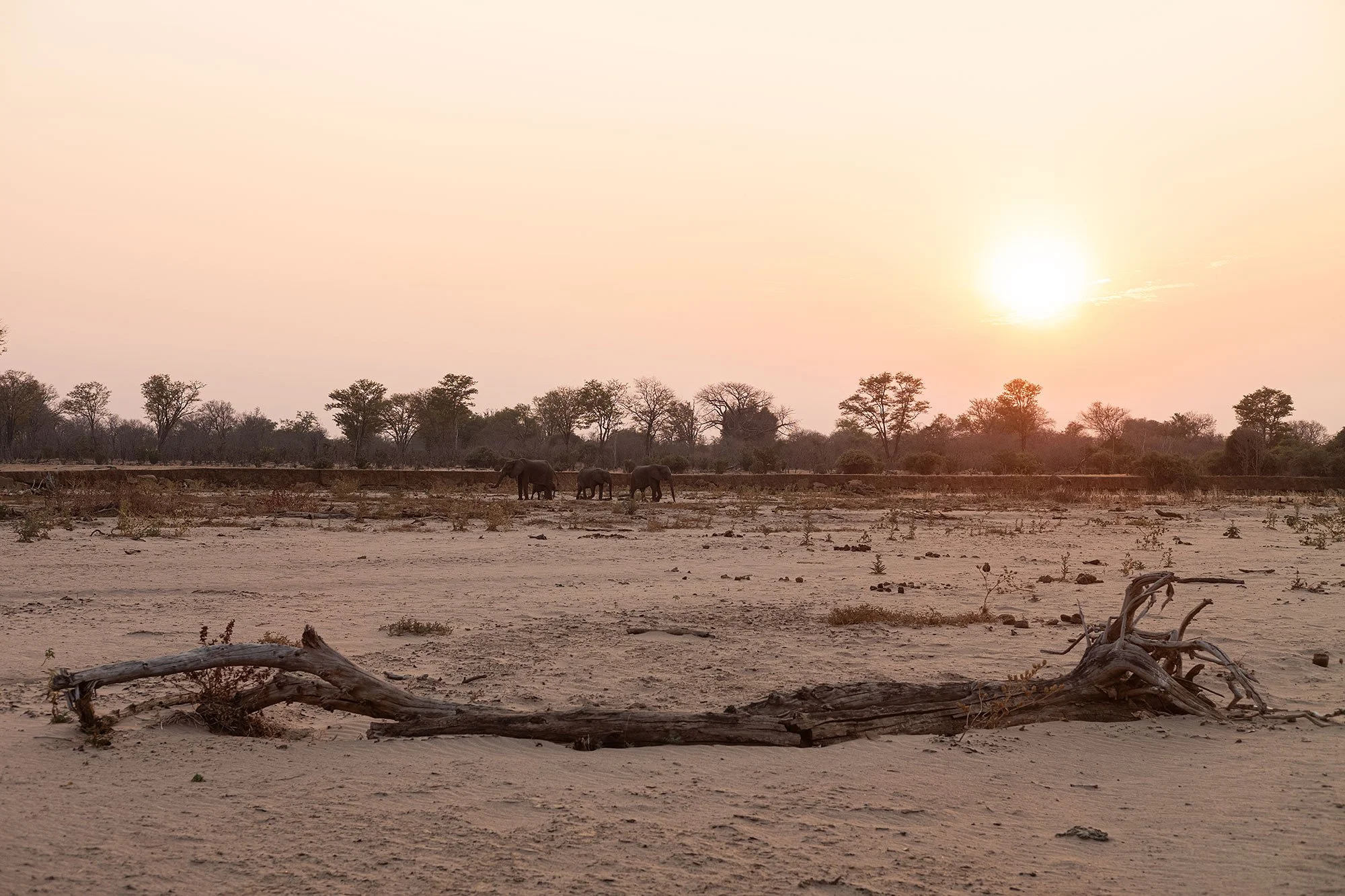 Mana Pools, Zimbabwe.