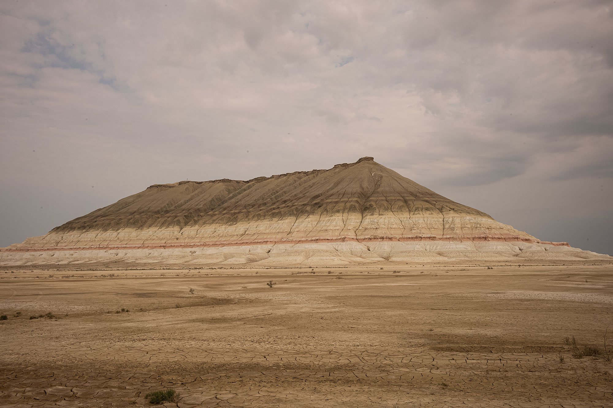 Kyzylkup Tract. Mangystau, Kazakhstan.