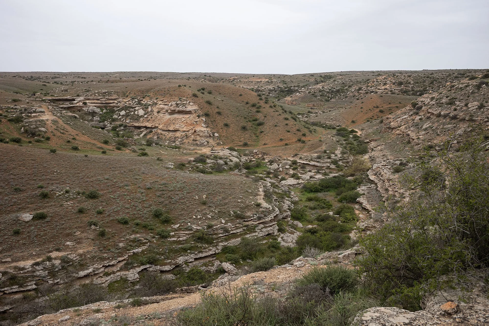 Tamshaly Canyon. Mangistau, Kazakhstah.