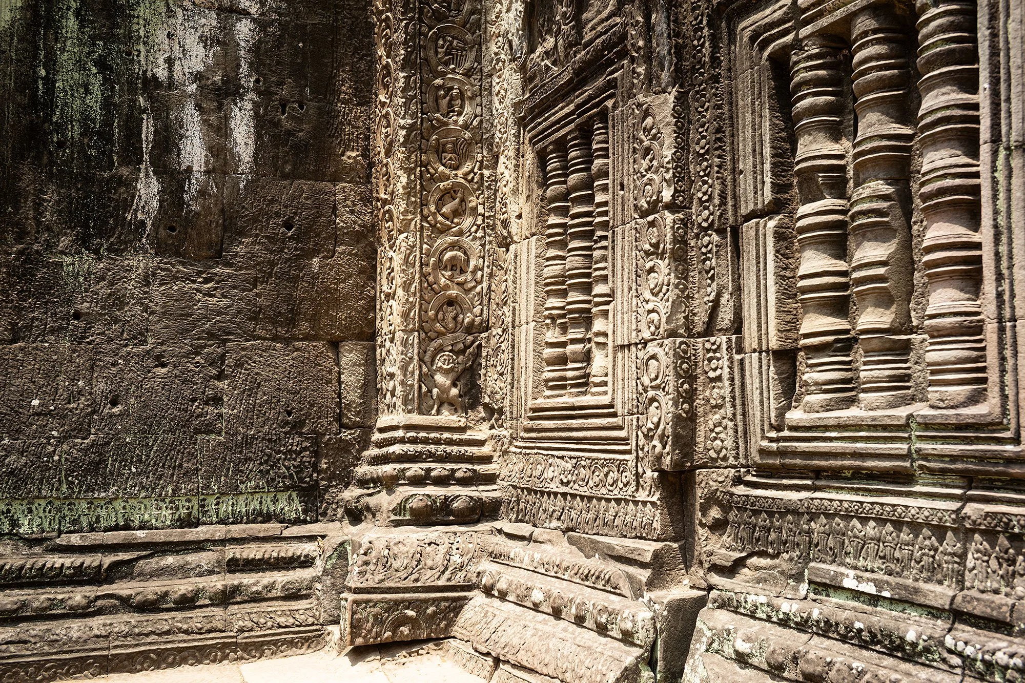 Dinosaur. Ta Prohm. Angkor, Cambodia.