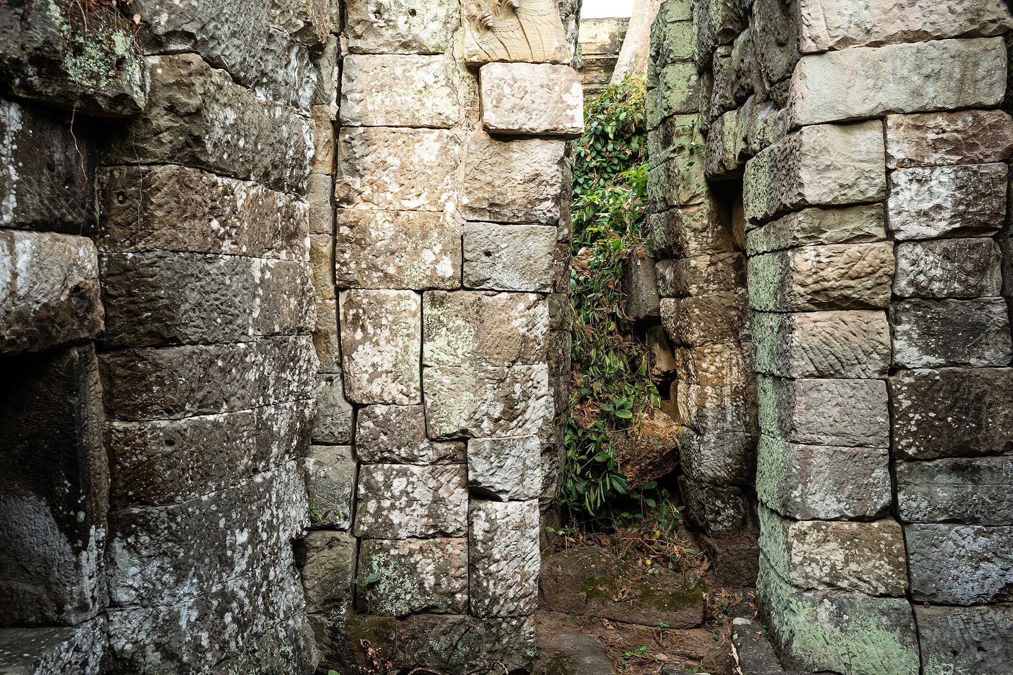 Preah Khan, Angkor, Cambodia.