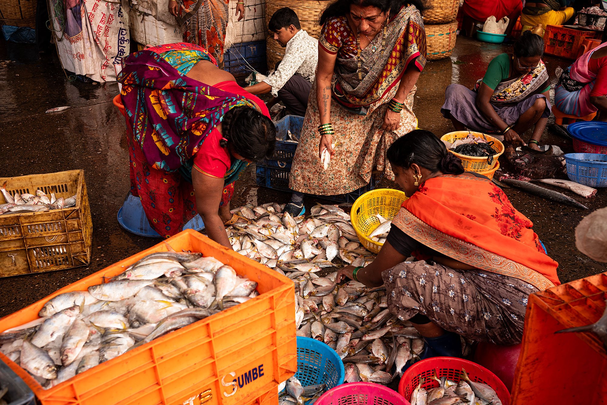 Sassoon dock jetty. Mumbai, India.