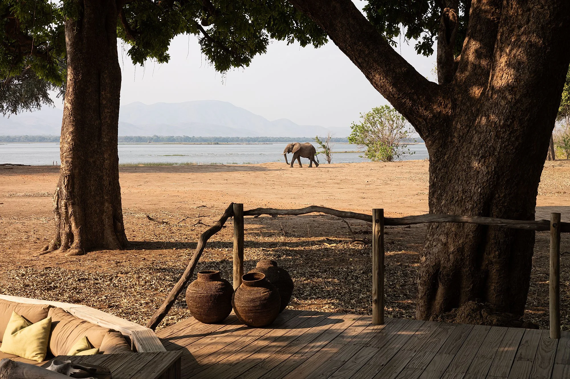 Elephants at Nyamatusi Camp. Mana Pools, Zimbabwe.
