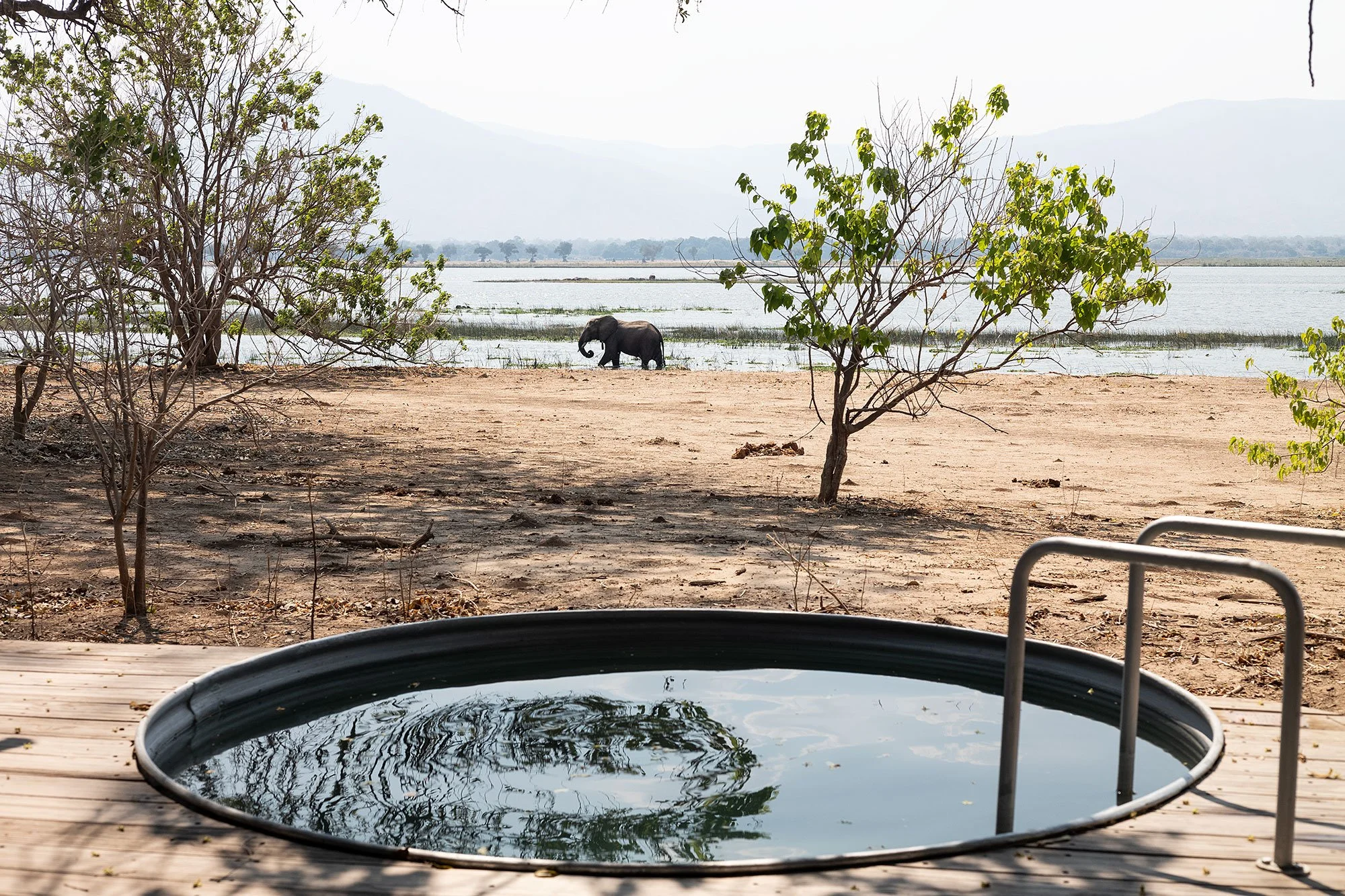 Elephant along the Zambezi River. Mana Pools, Zimbabwe.