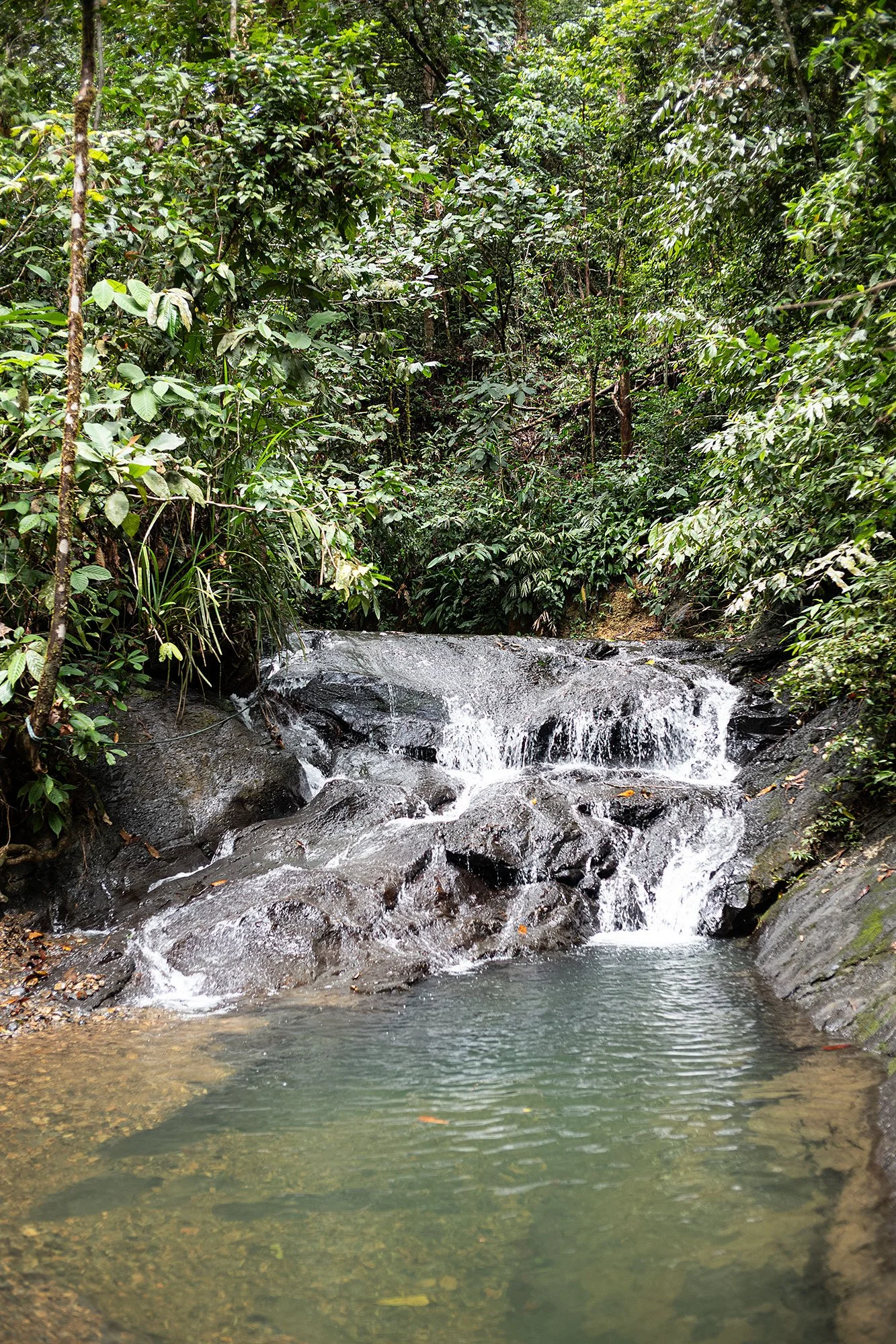 Waterfall. Ulu Temburong National Park, Brunei.