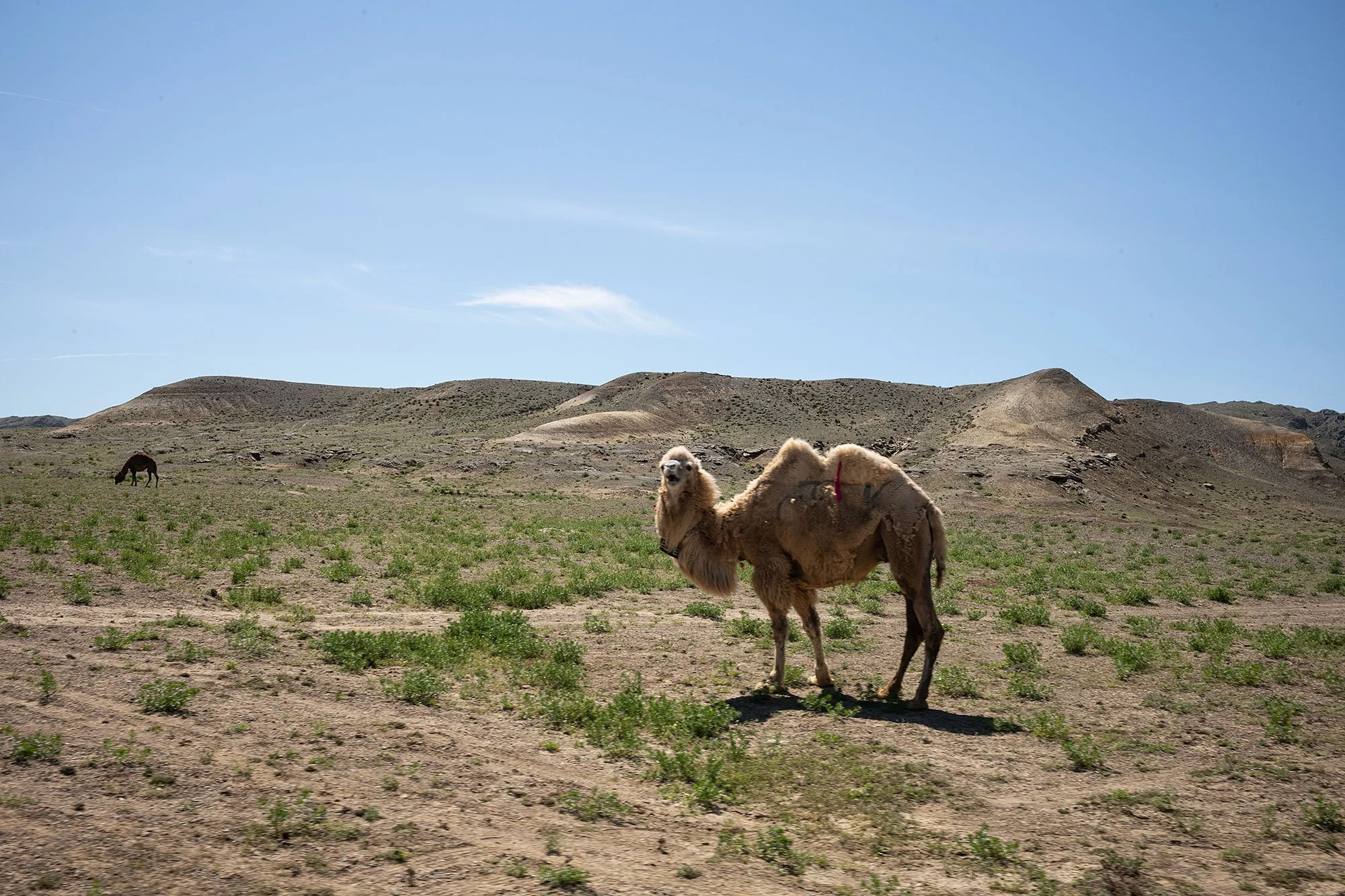 Mangystau, Kazakhstan.