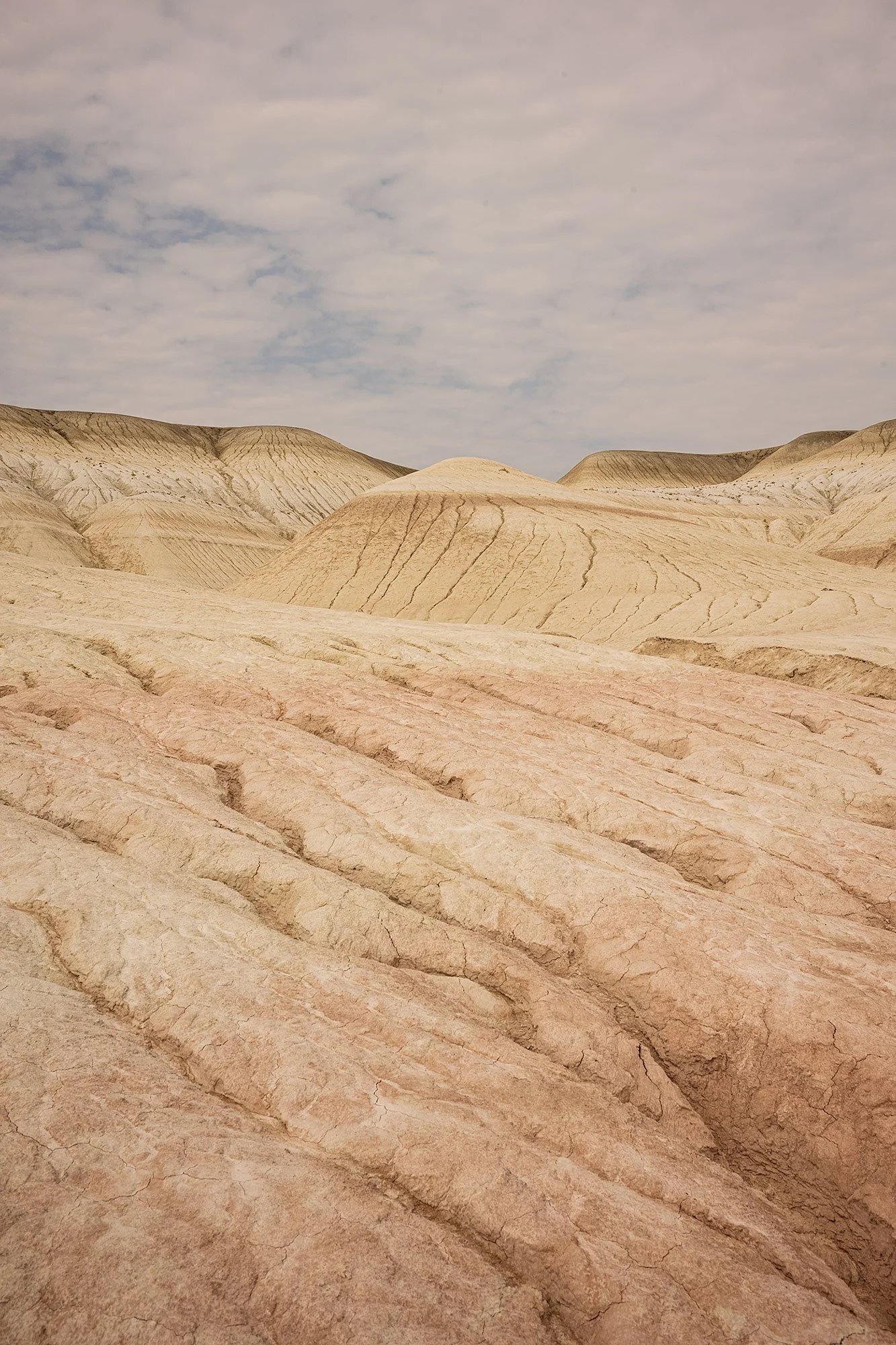 Kyzylkup Tract. Mangystau, Kazakhstan.