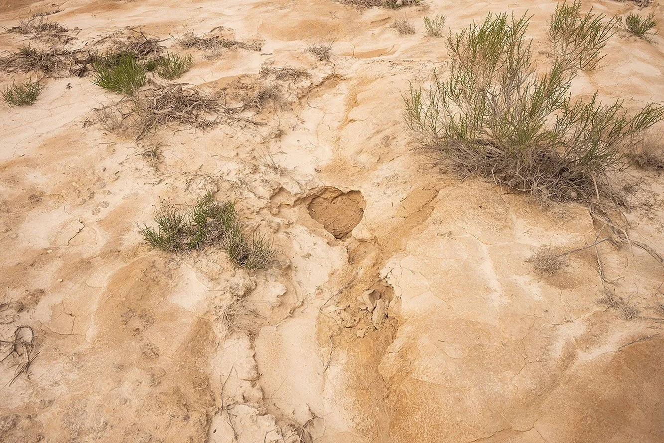Kyzylkup Tract. Mangystau, Kazakhstan.