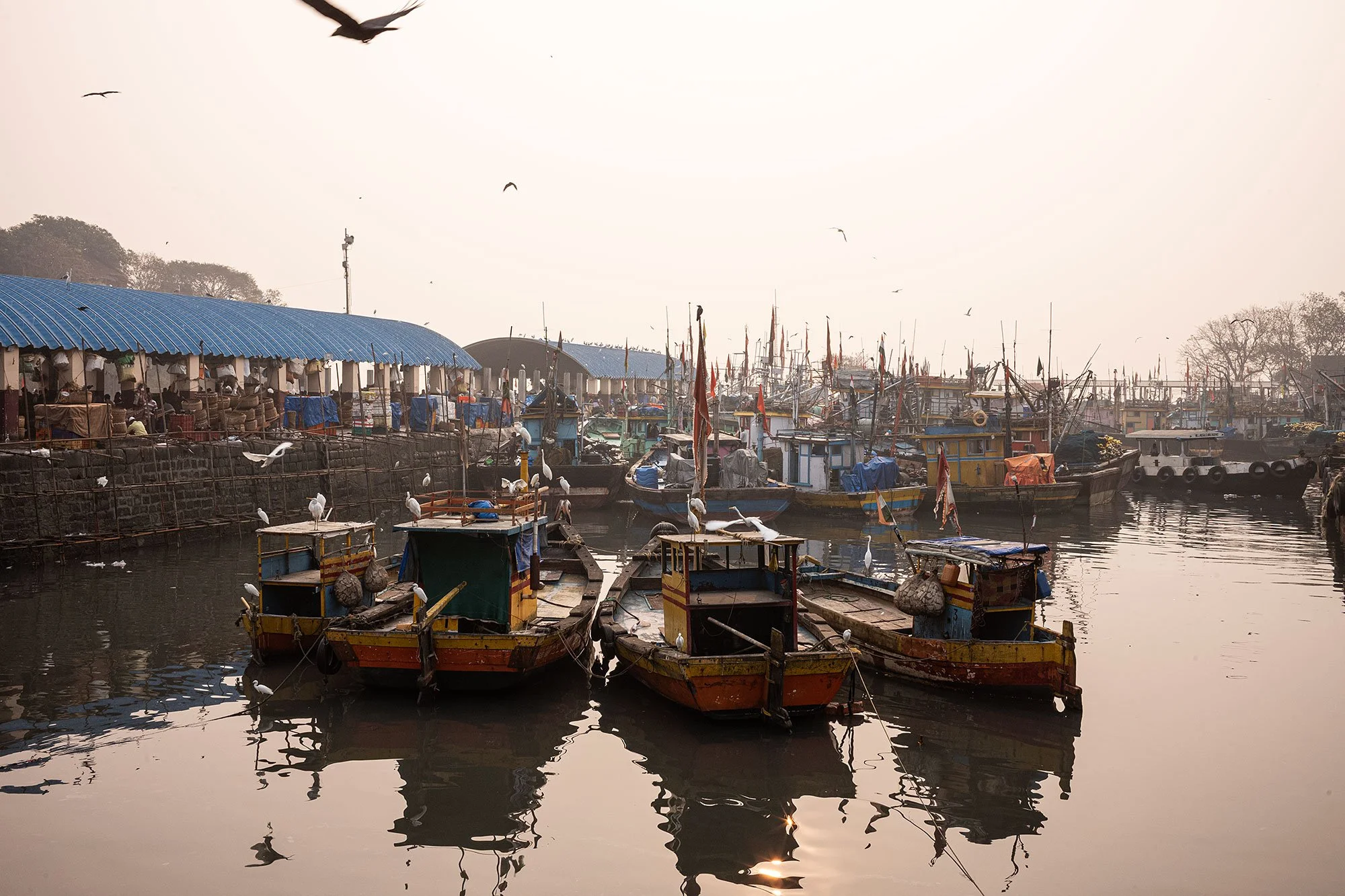 Sassoon Dock jetty fish market. Mumbai, India.