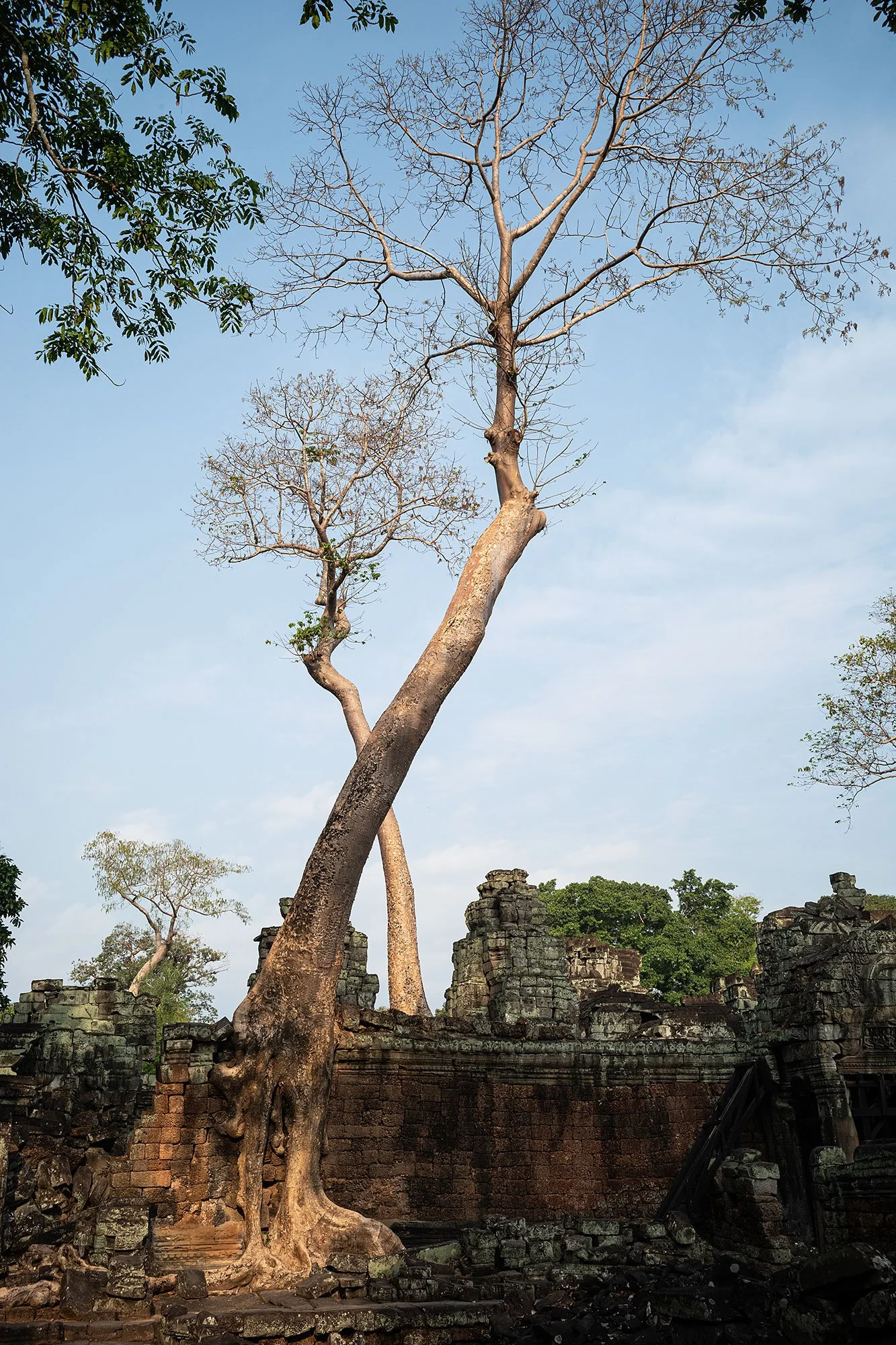Preah Khan, Angkor, Cambodia.