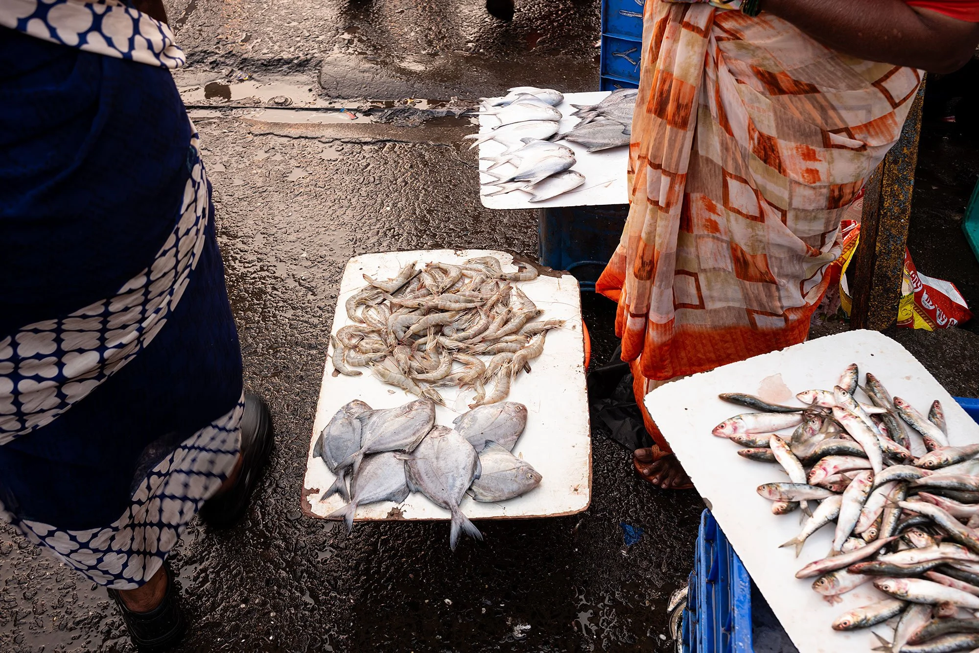 Sassoon dock jetty. Mumbai, India.