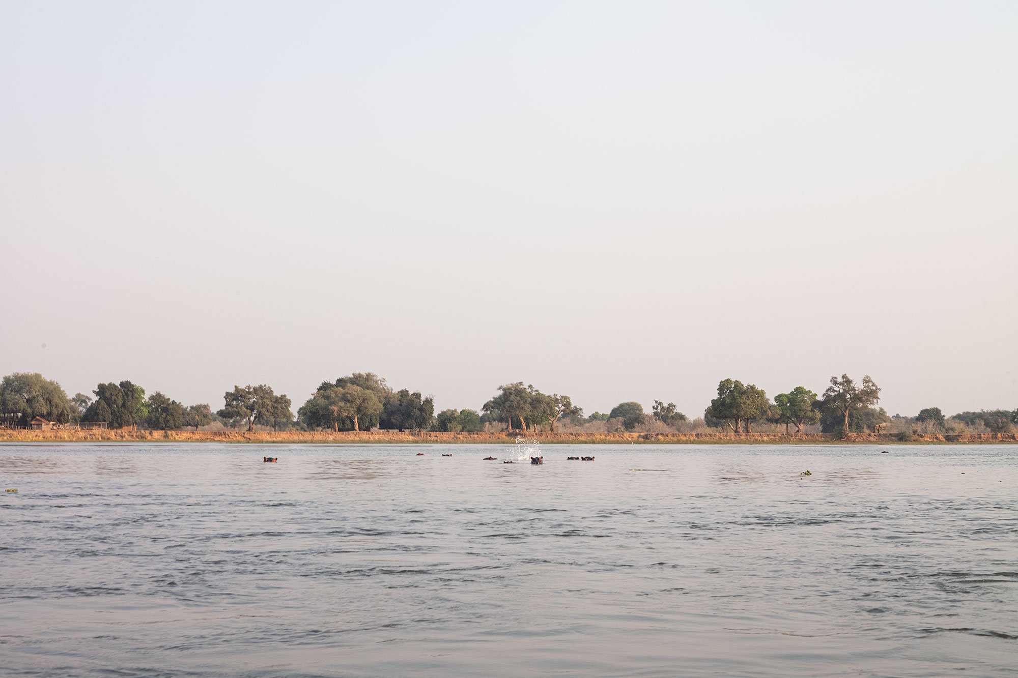 Canoeing on the Zambezi River. Mana Pools, Zimbabwe.