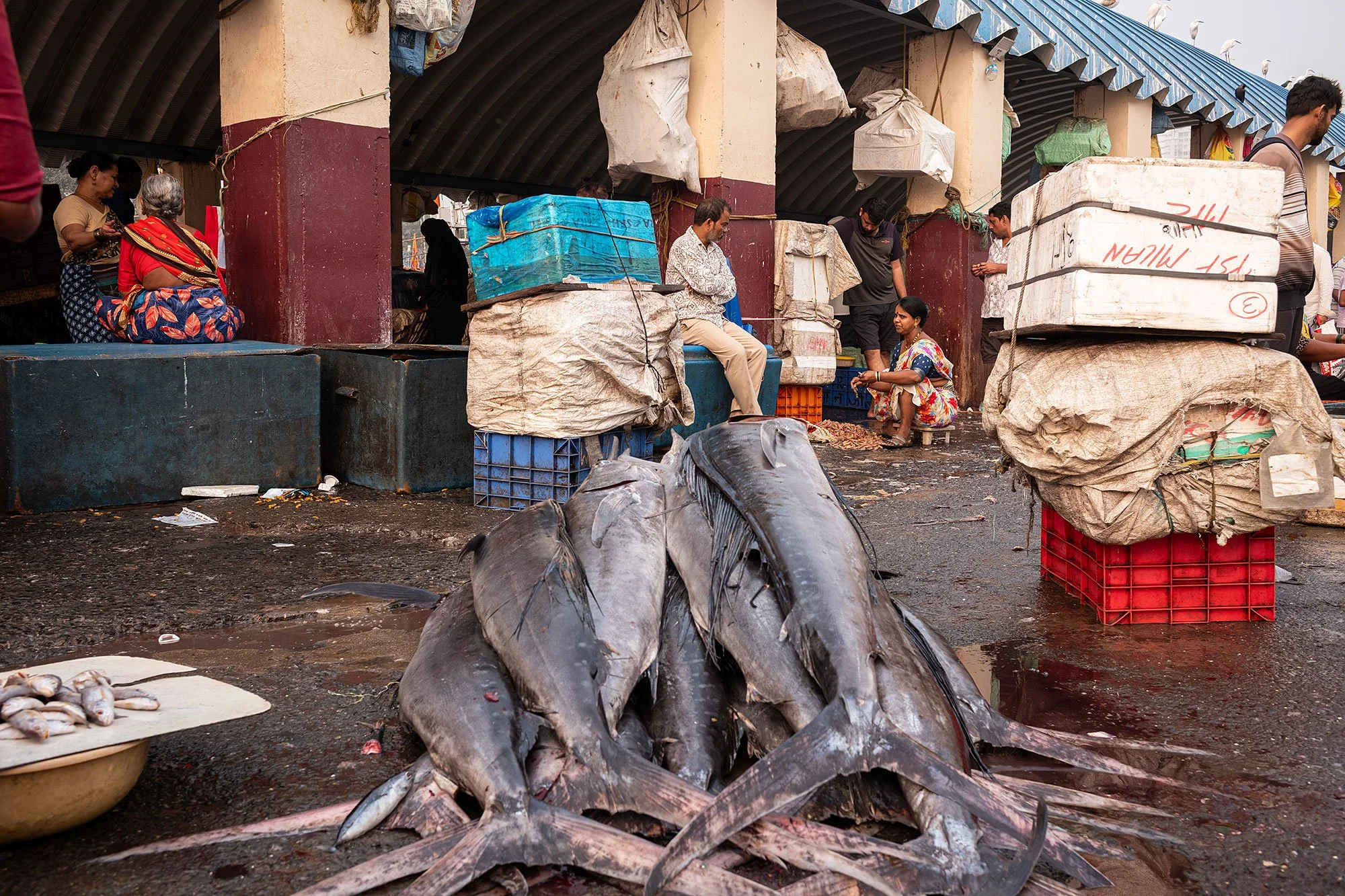 Sassoon Dock jetty fish market. Mumbai, India.