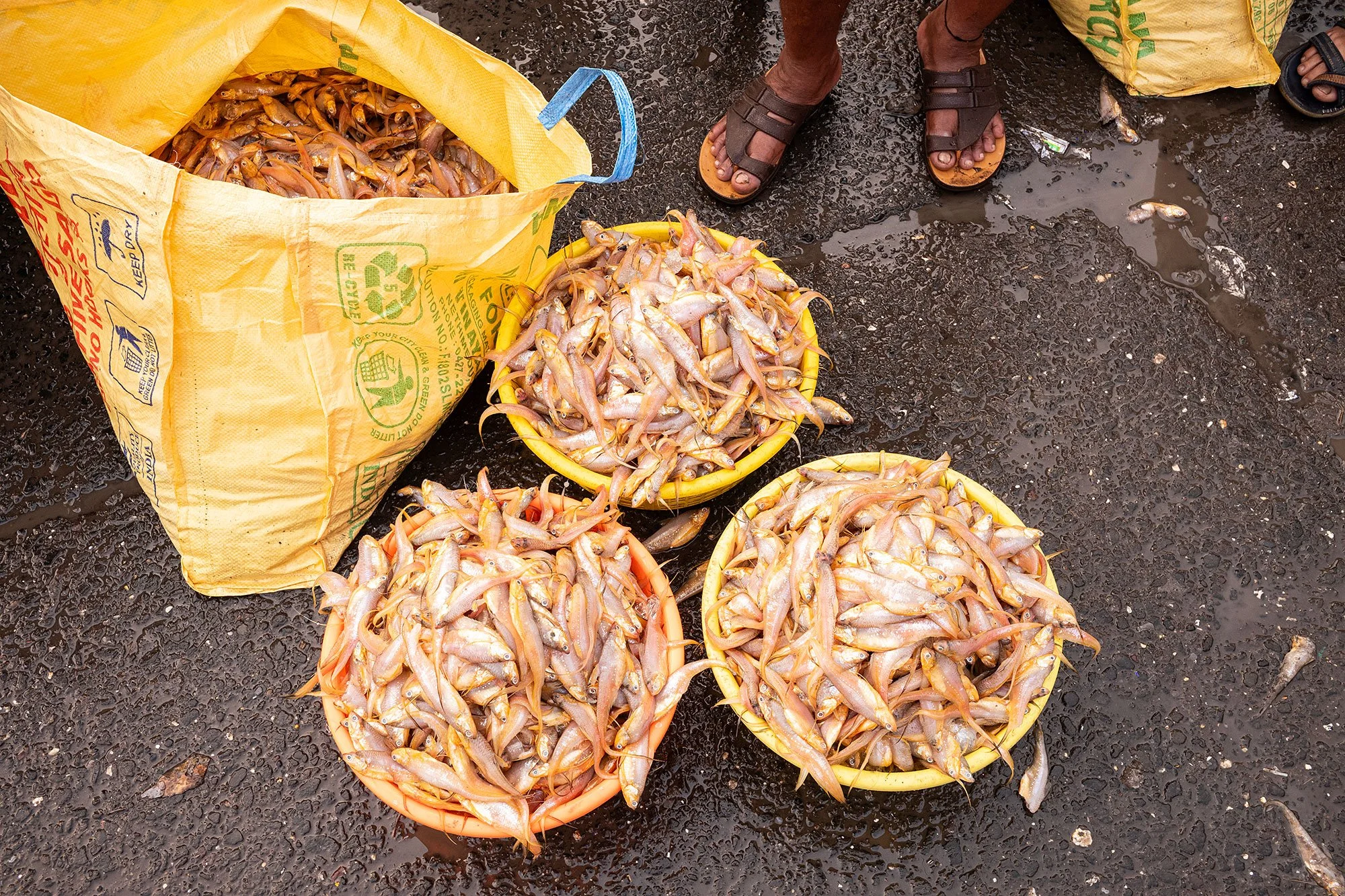 Sassoon dock jetty. Mumbai, India.