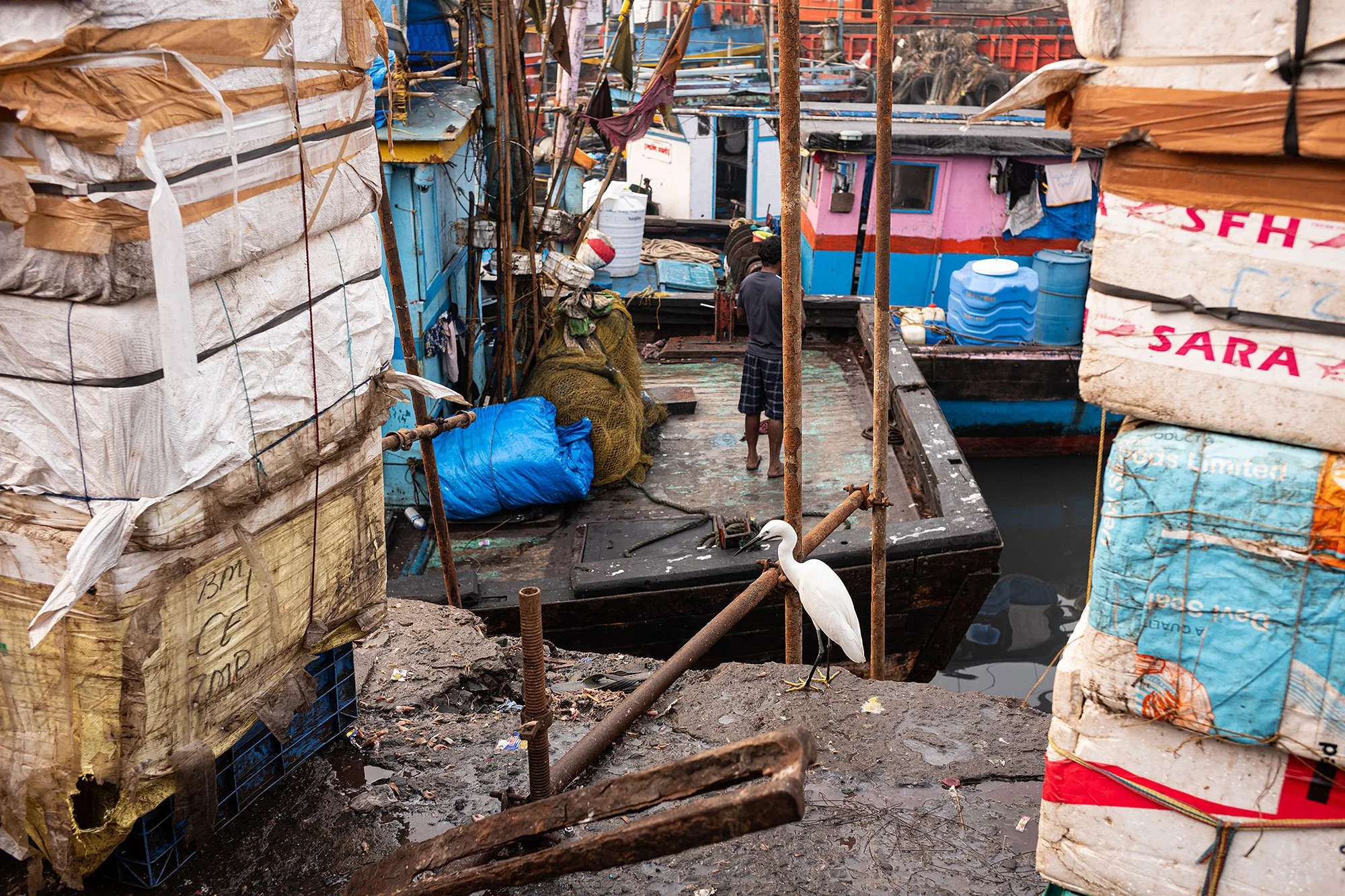 Sassoon dock jetty. Mumbai, India.